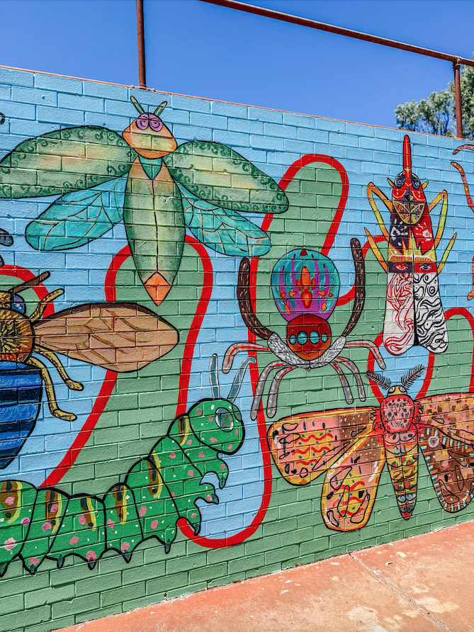 Community Mural Artist Perth.png