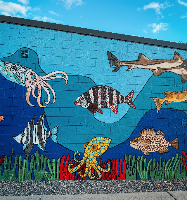 Perth Mural Artist.png