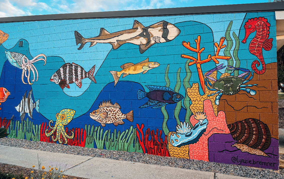 Western Australia Perth Mural Artist.png