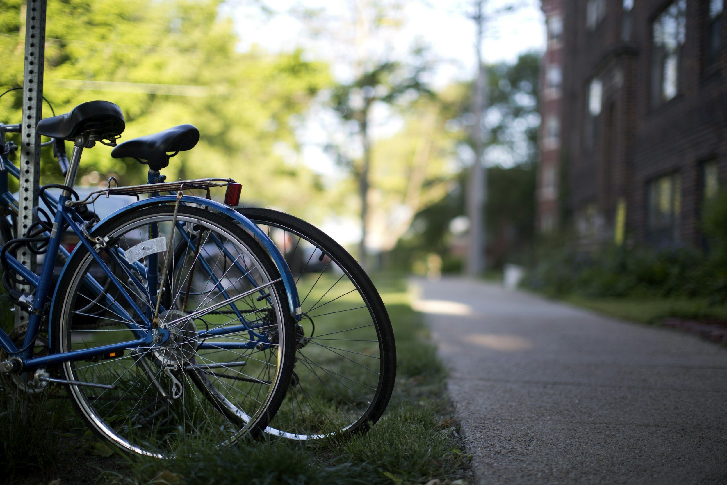 Two blue bicycles parked next to a pole by a sidewalk in a residential area with trees and apartment buildings in the background.