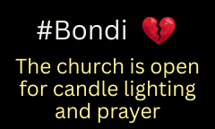 Responding to the Bondi Shooting