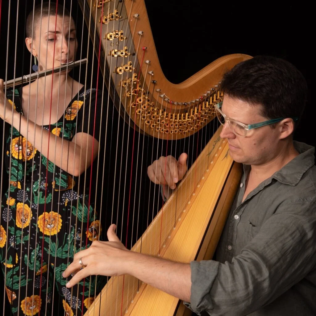 From Court to Canvas: French Harp Music