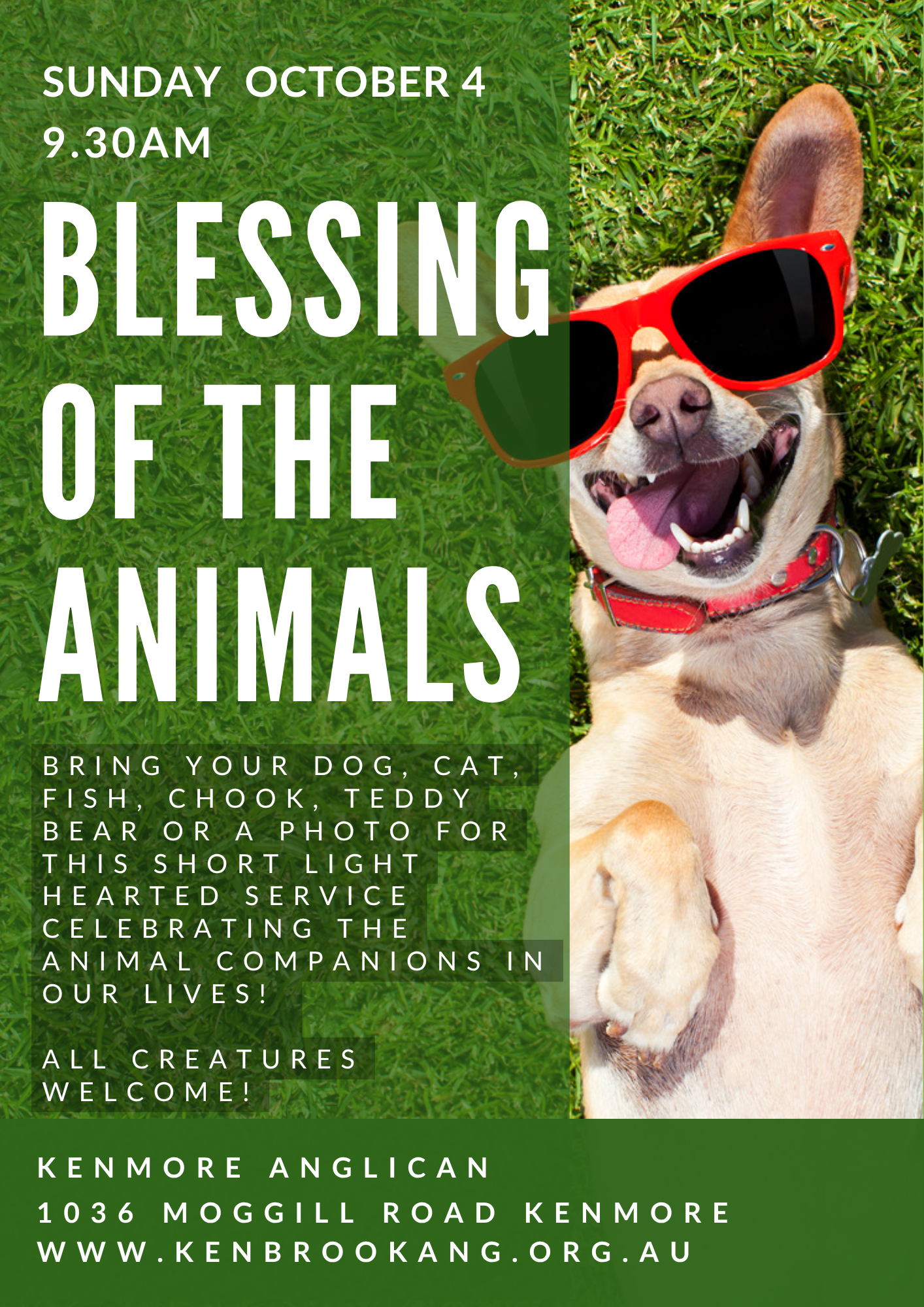 Blessing of the Animals