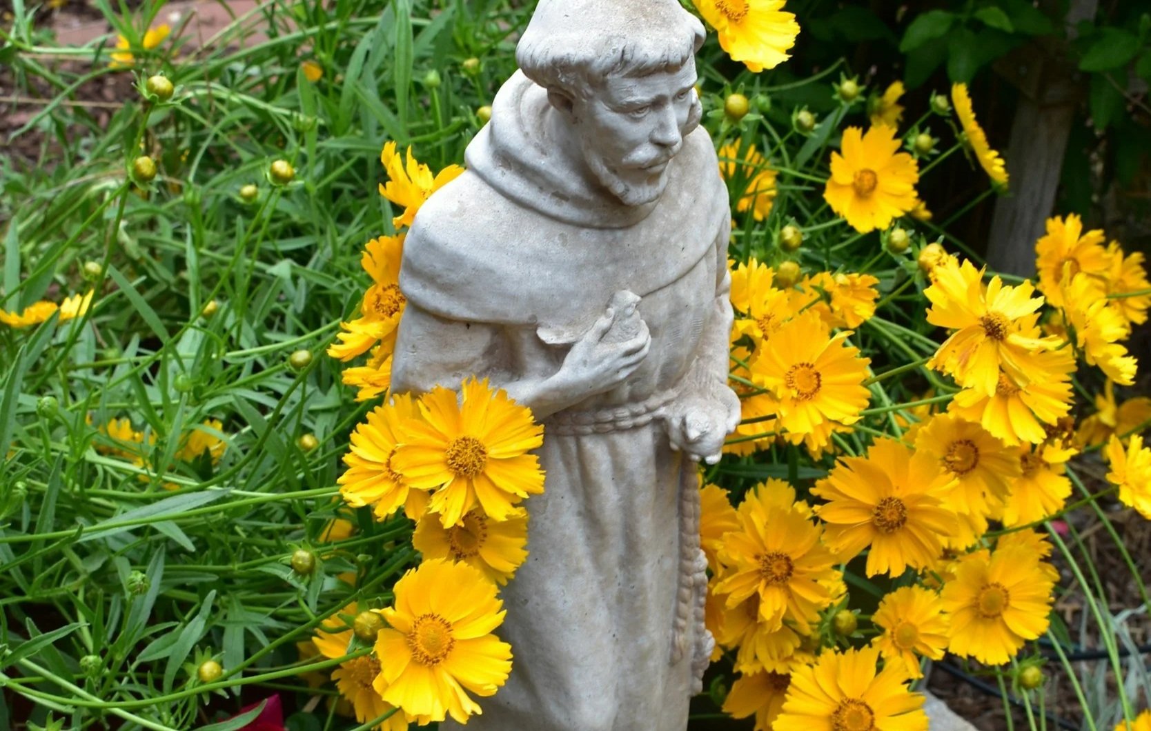 The Feast of St Francis
