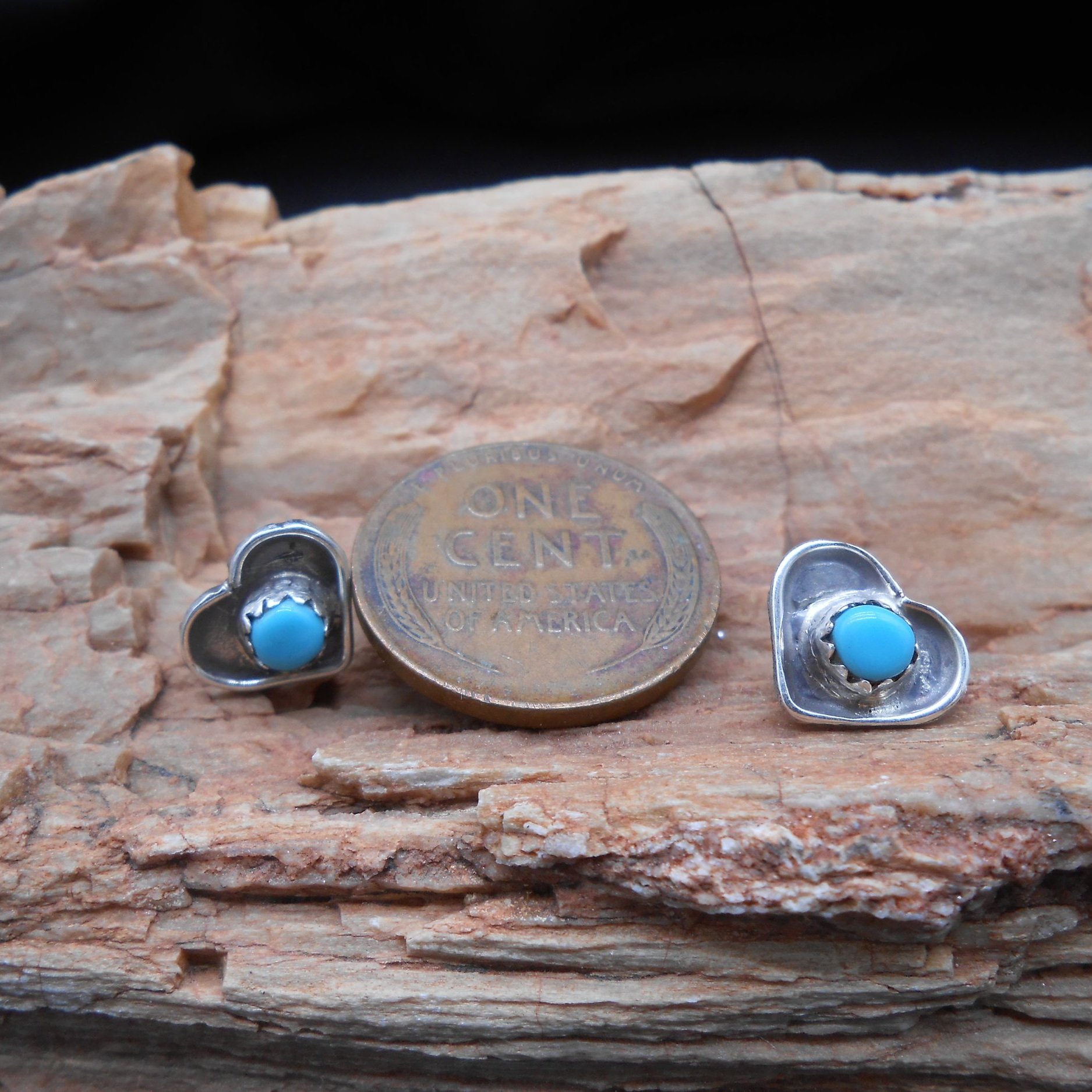 DSCN6580.jpg