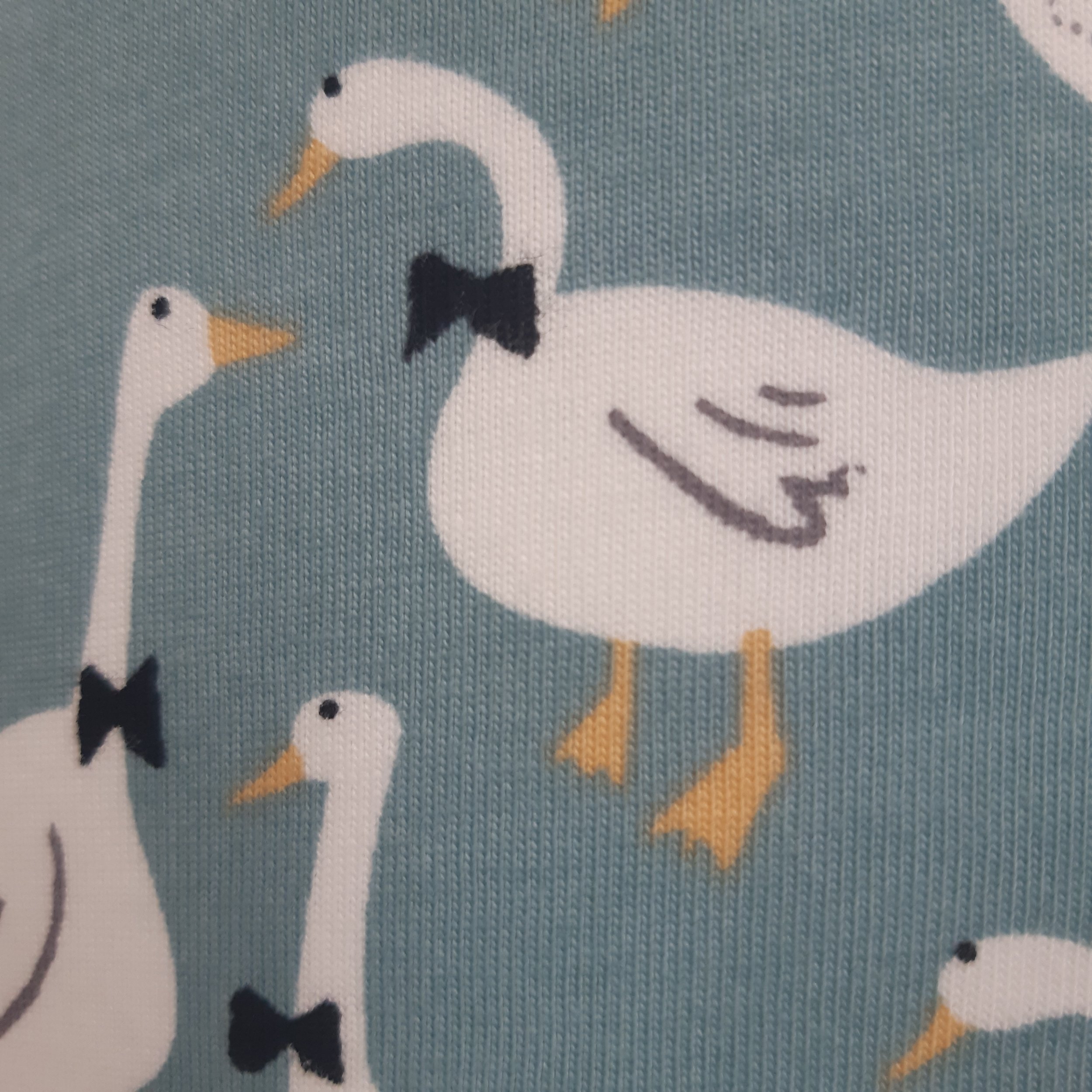 2022-10-28 13.06.23.jpg