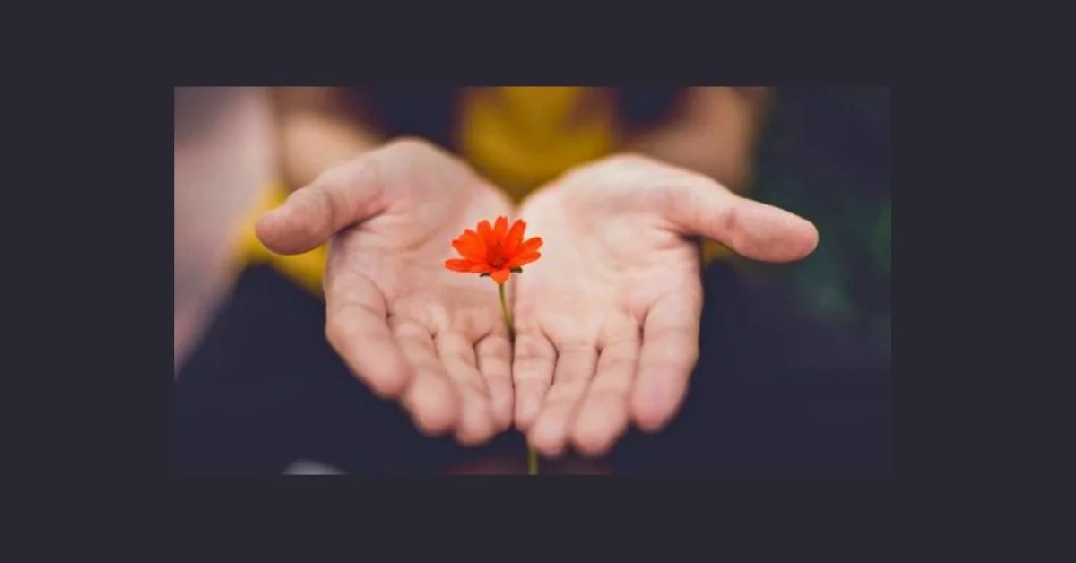 Women holding a red flower in her open palms. 