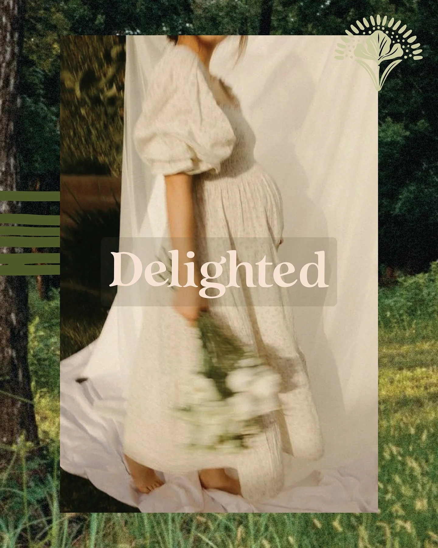 Gentle strength, vibrant warmth, and deep trust &mdash; the identity for Delighted Birthing Support holds space for all of it. ✨

From joyful colors to hand-drawn textures, every detail is designed to honor the emotional landscape of birth work &mdas