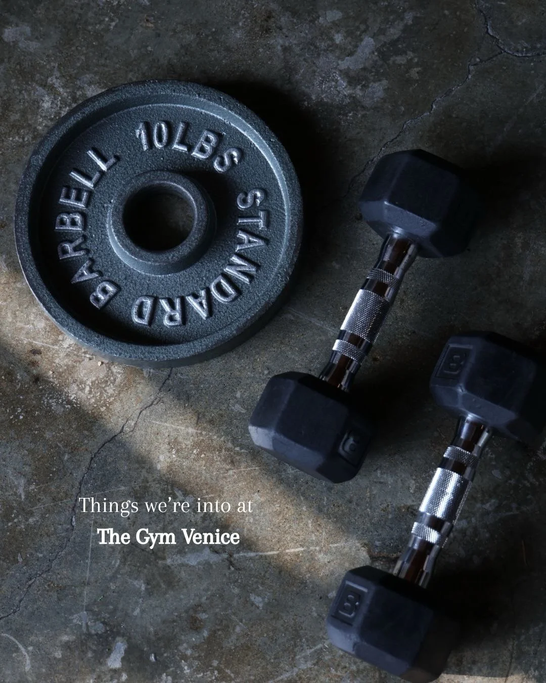 Swipe to see what we&rsquo;re into at The Gym Venice. 💪 Health, fitness, strength, and a community that pushes each other to be better every day.

Share with your fitness friends and tag your workout crew below. Let&rsquo;s get after it.

#TheGymVen