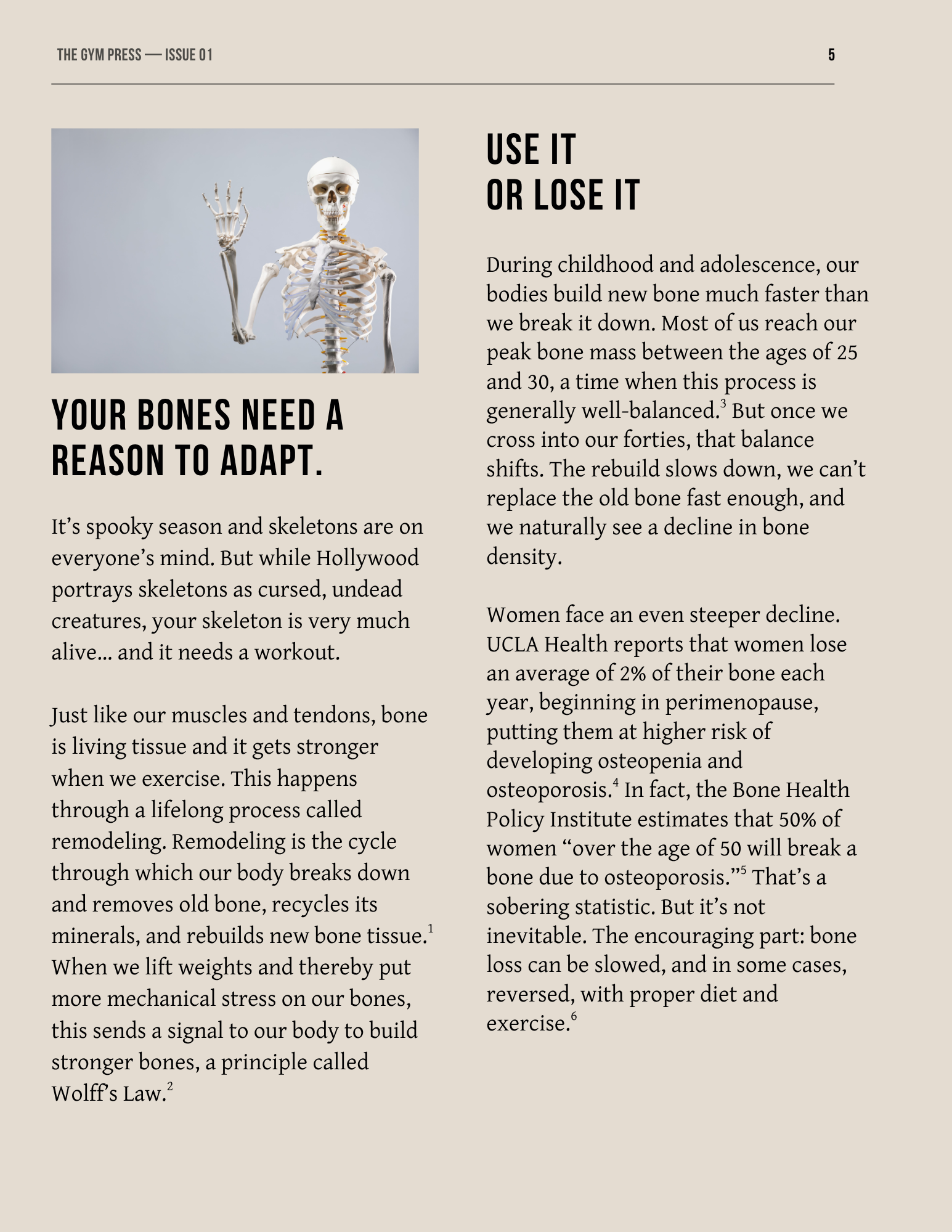 Make No Bones About It (2).png