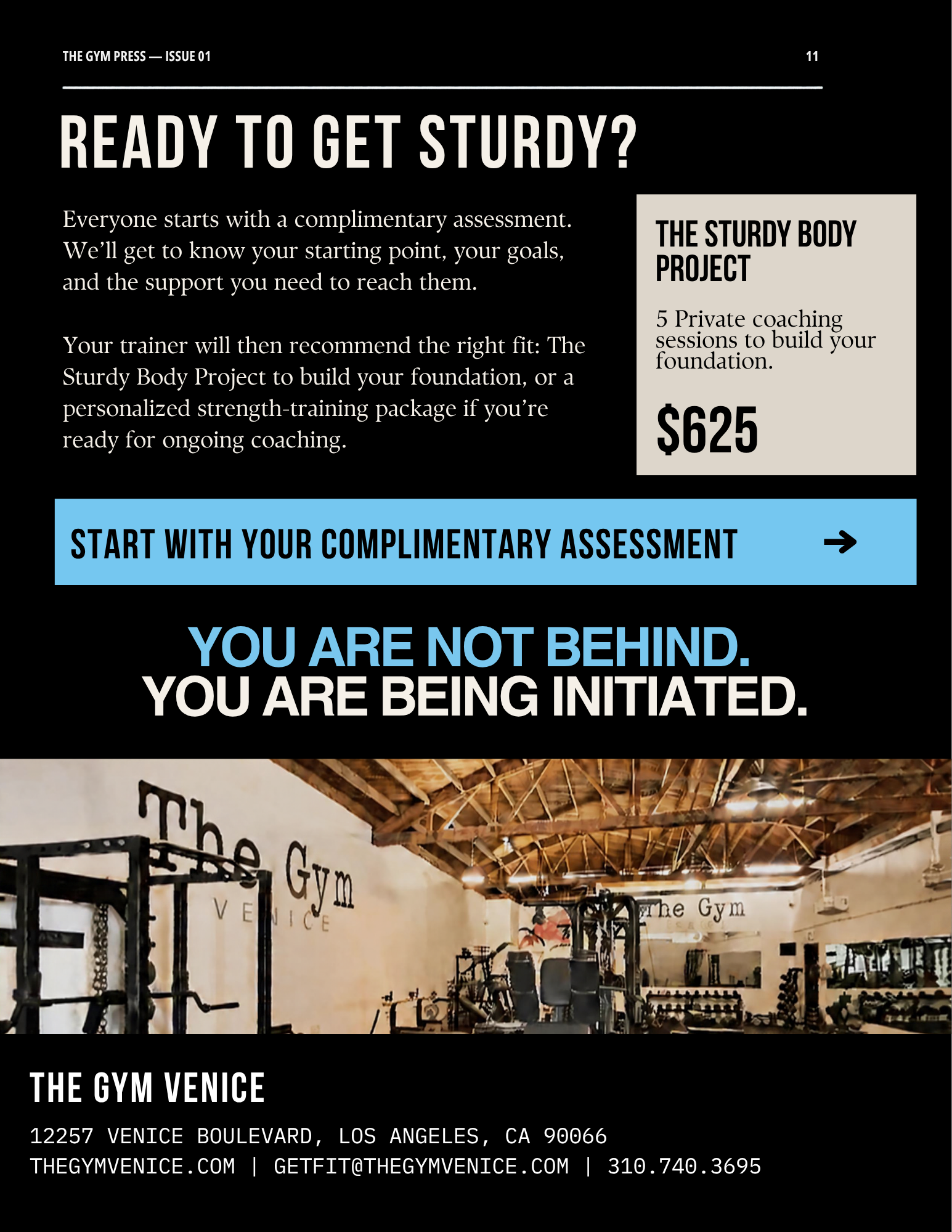The Sturdy Body Project.png