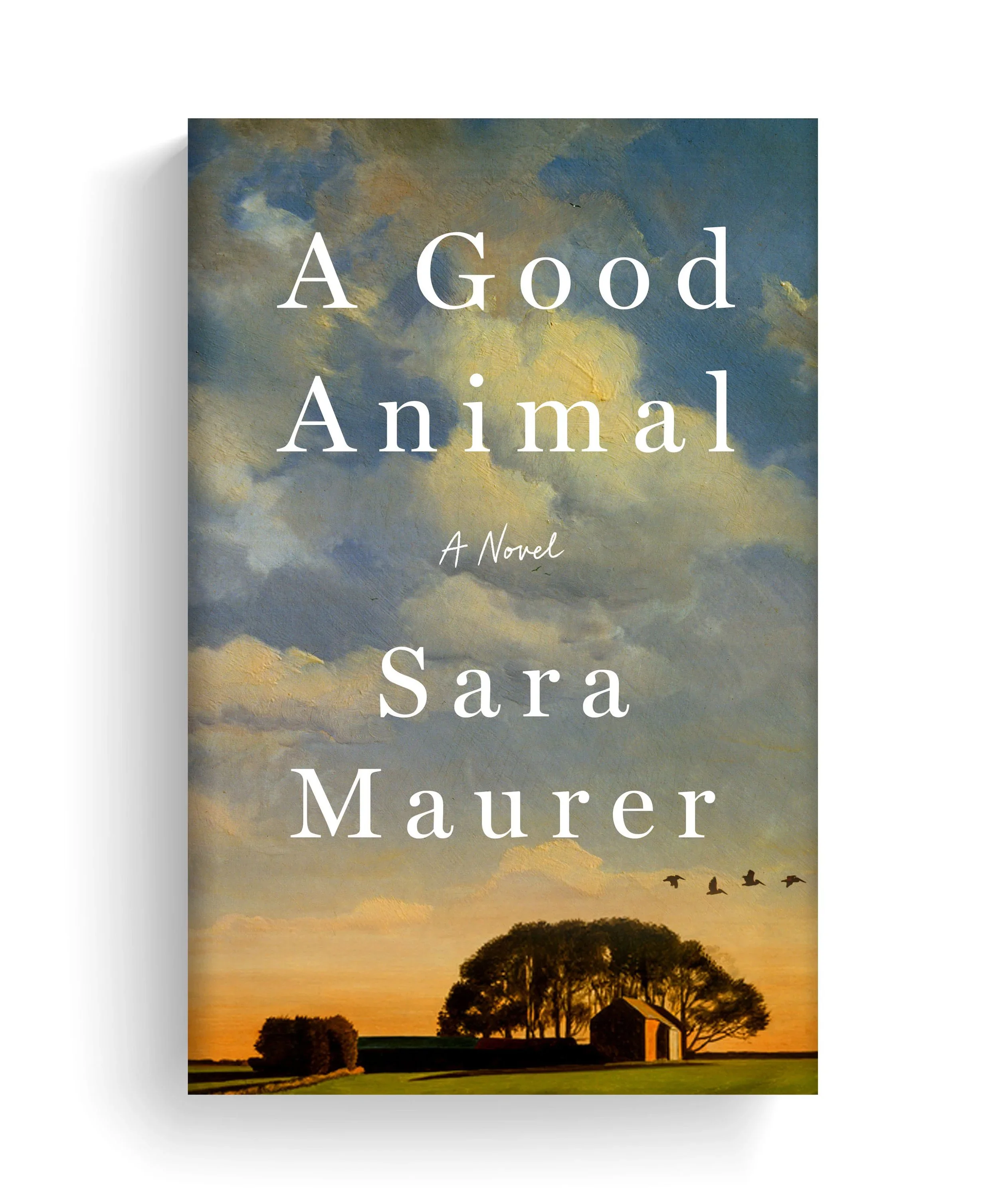 A Good Animal by Sara Maurer