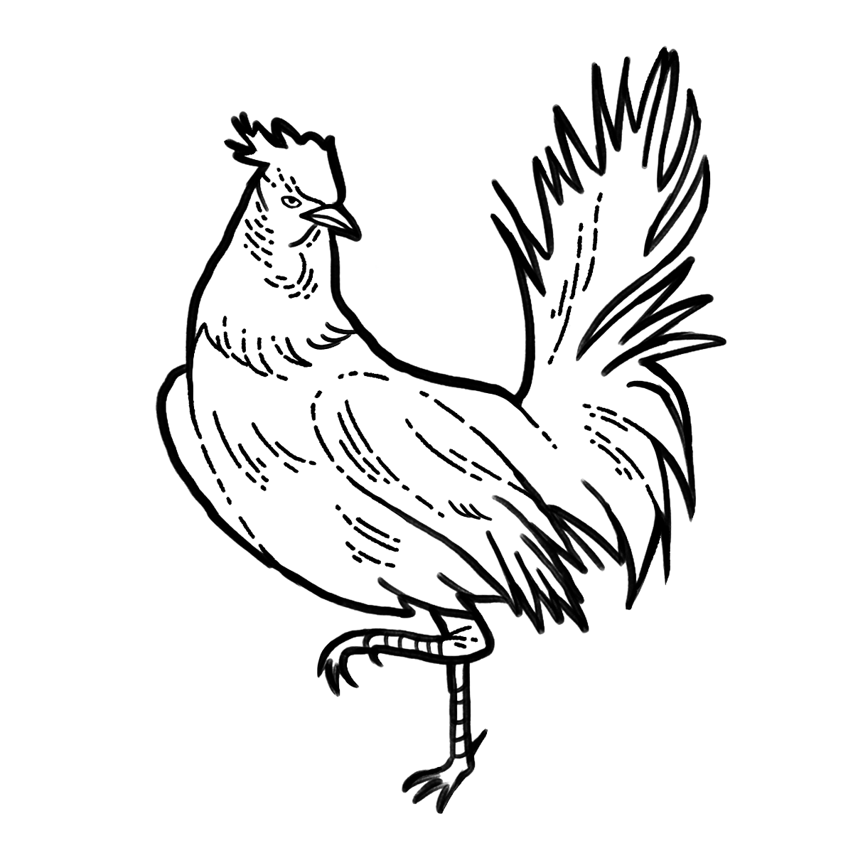 rooster.png