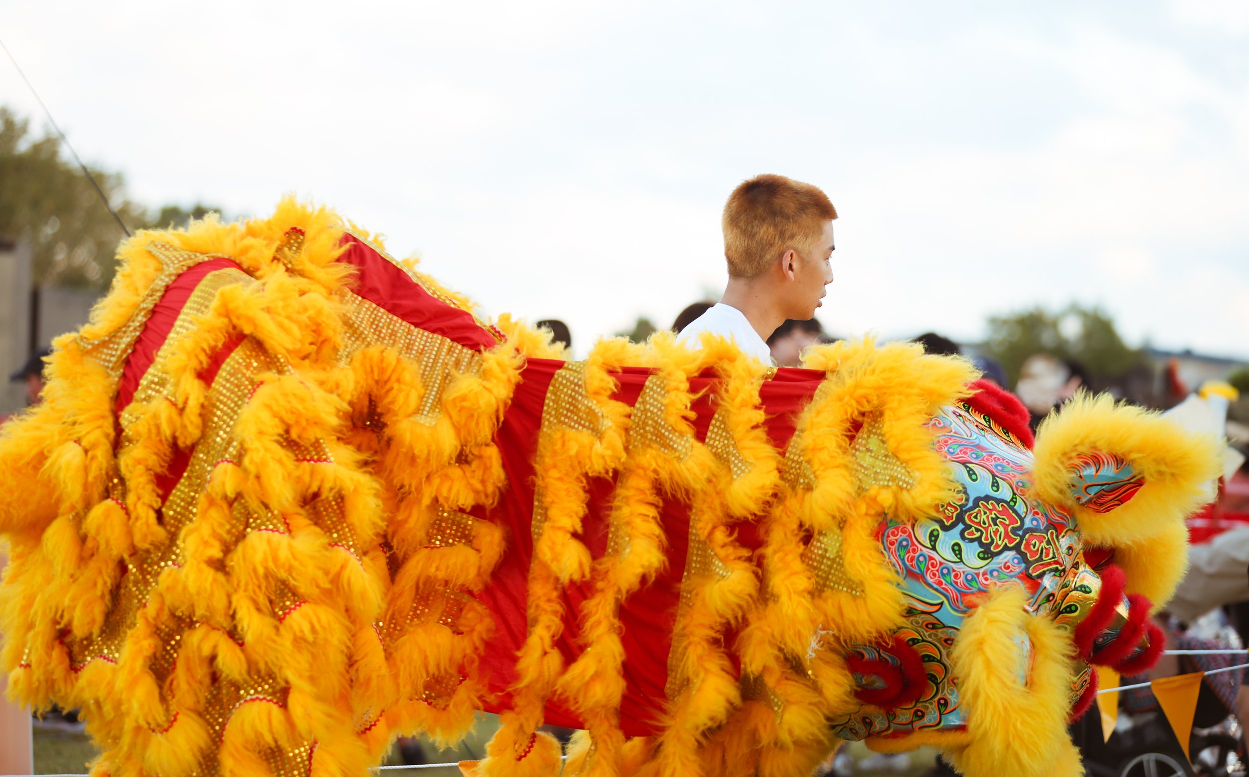 Lion dancers kept the crowds entertained throughout the afternoon.