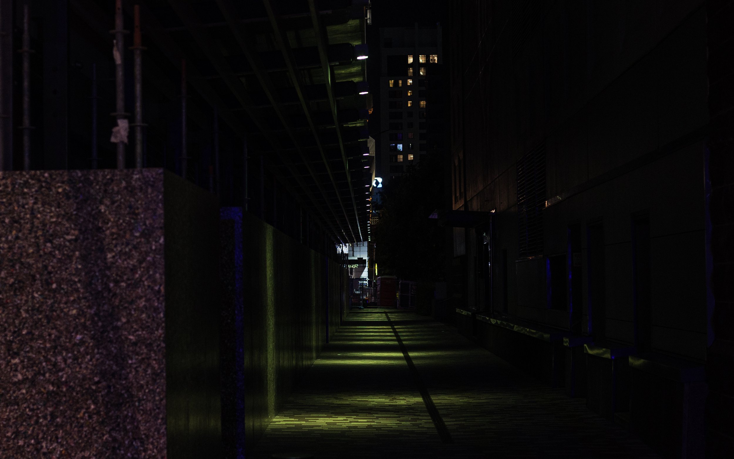 20250221-_S8A1177.jpg