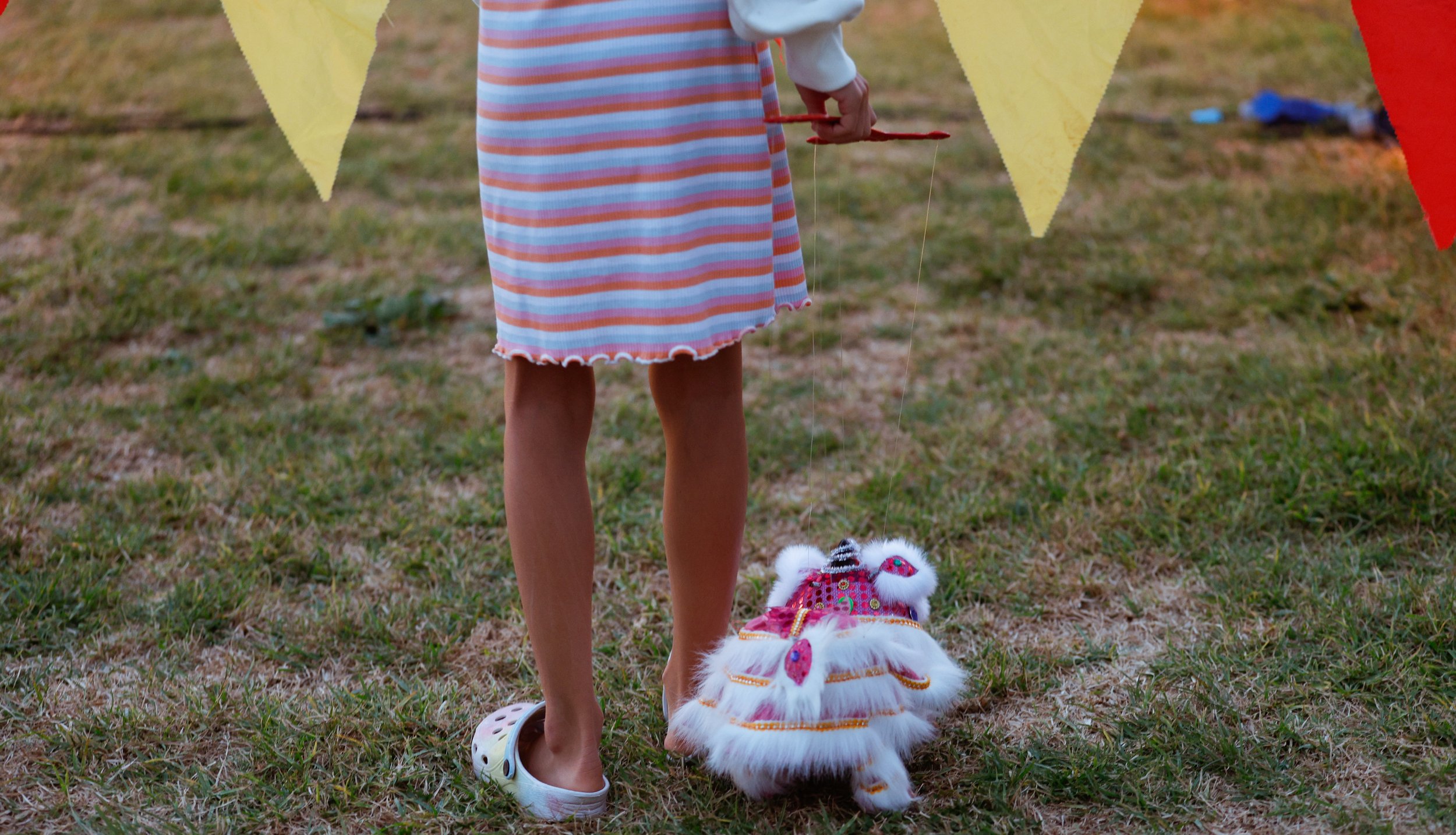 A child carries a traditional lion lantern during the festival.
