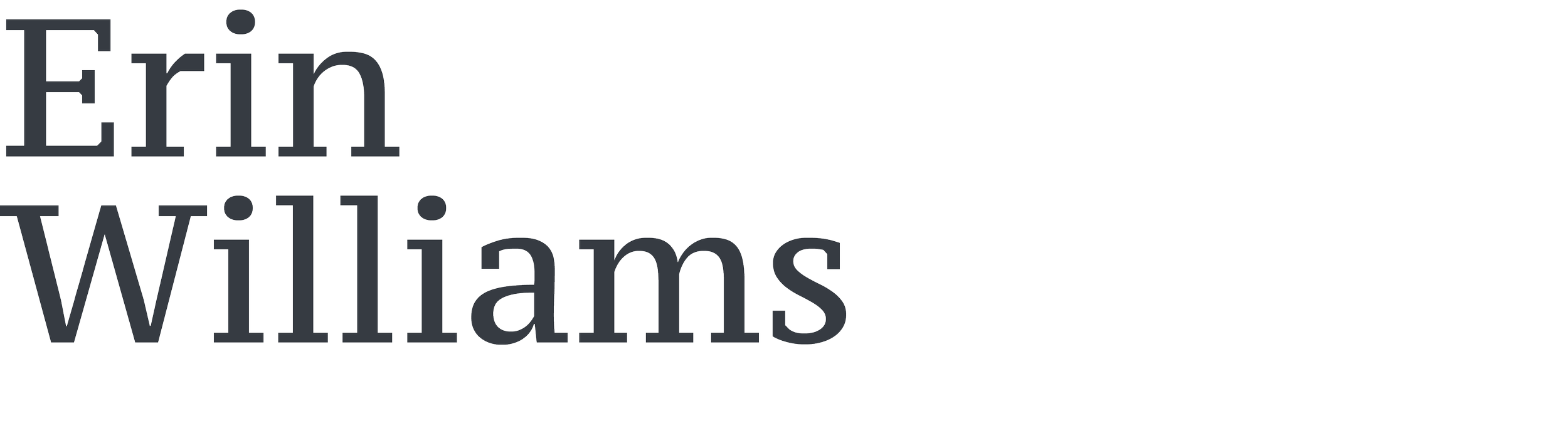 Black background with large gray text that reads 'Erin Williams'.