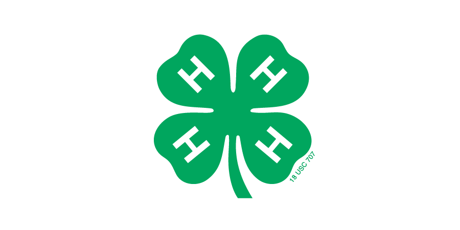 A green four-leaf clover with black H symbols on each leaf, representing luck or Irish heritage.