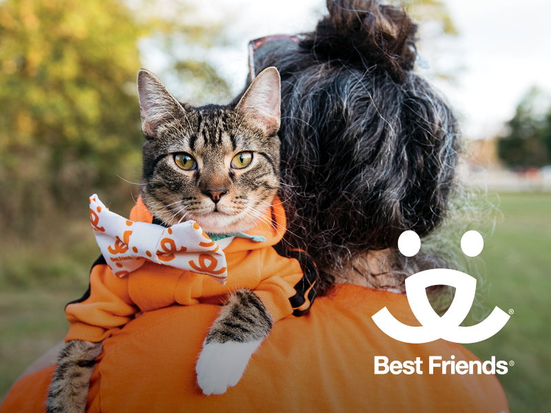 Person holding a tabby cat with a white and orange bowtie in an orange hoodie, outdoors in a park, with a logo reading 'Best Friends' in the bottom right corner.