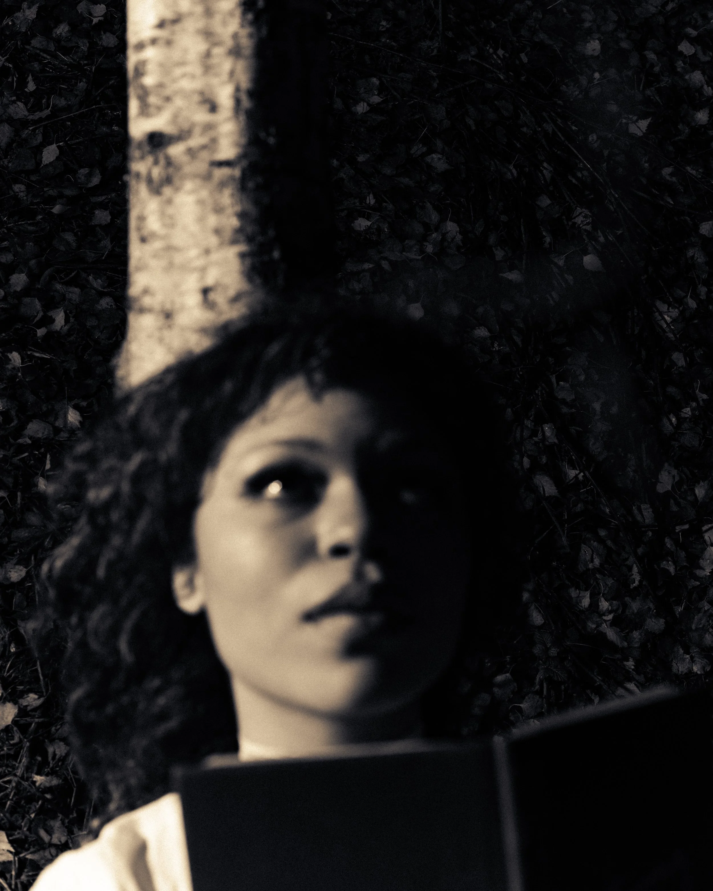 Shalom for 'Where Did It All Go?'

IG: @celinamedia