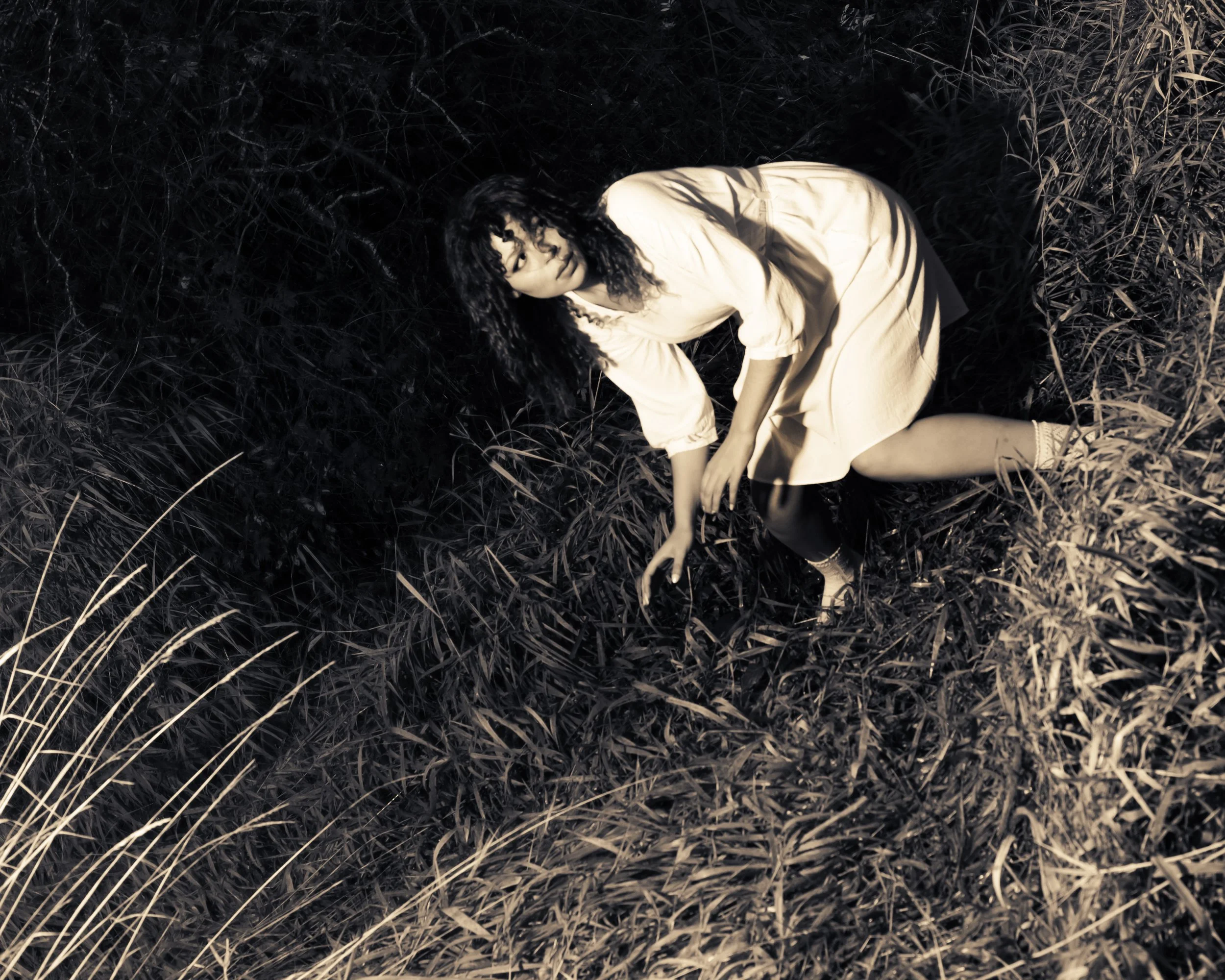 Shalom for 'Where Did It All Go?'

IG: @celinamedia