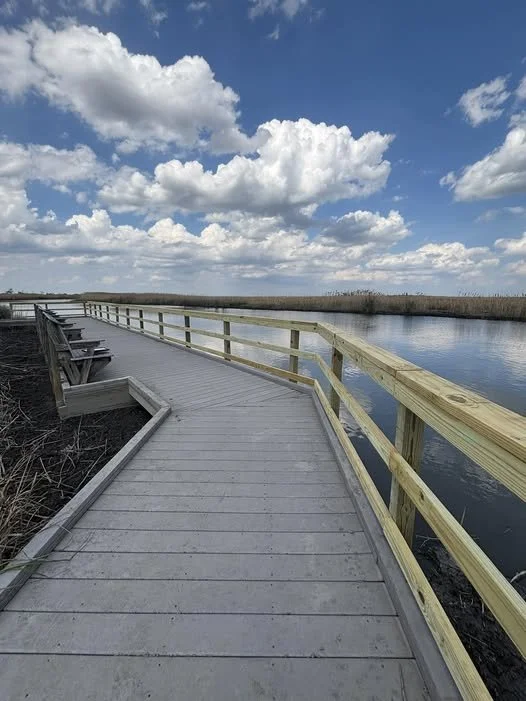 Discover the Most Fun Things to Do in Smyrna, Delaware