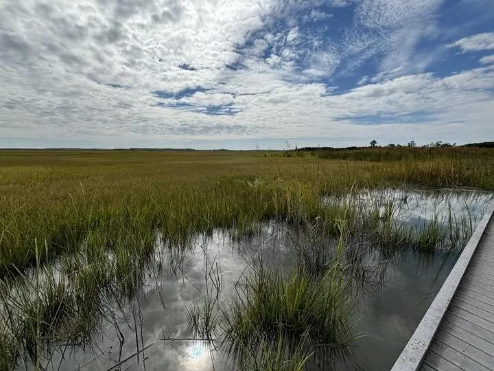 Bombay Hook