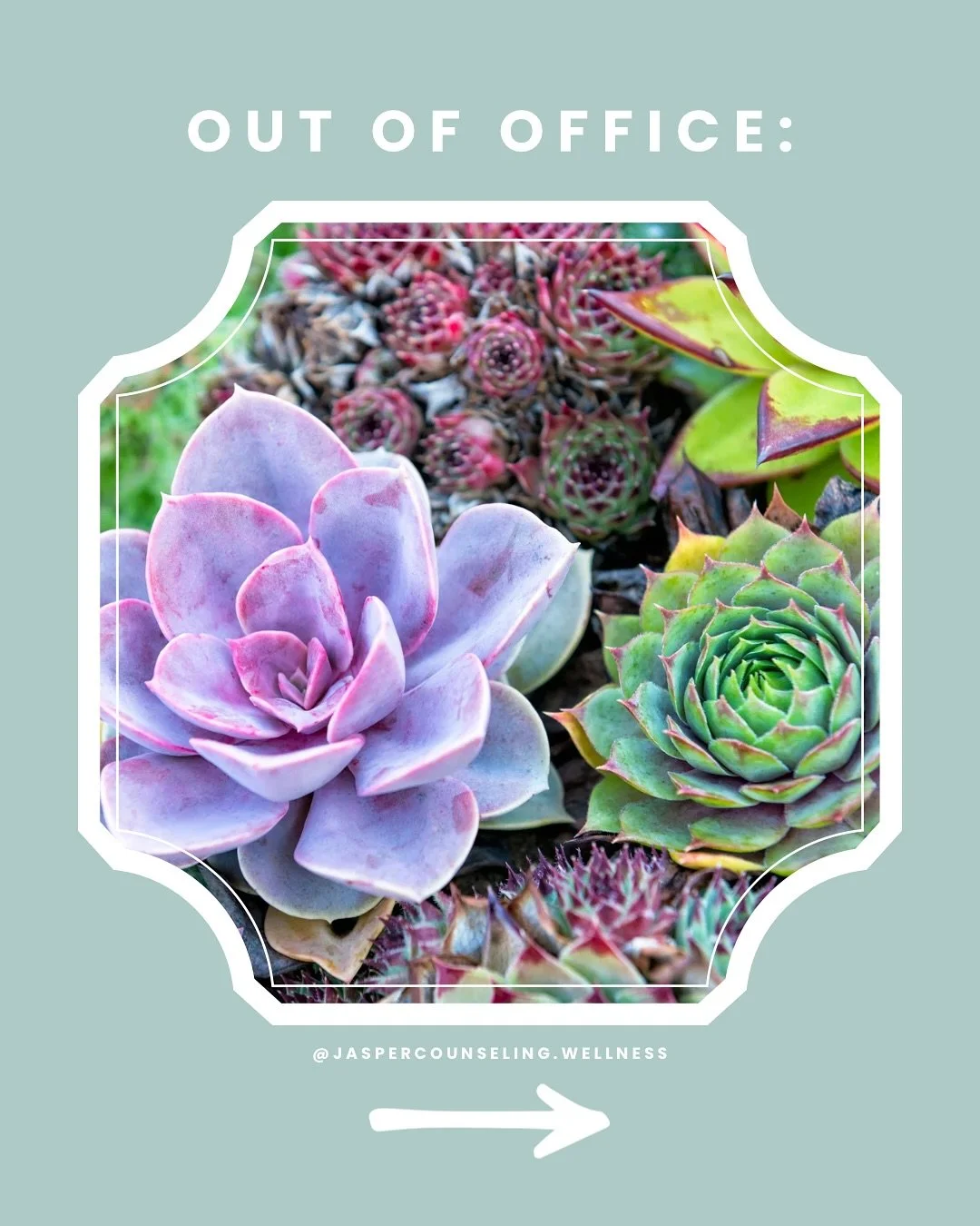 FALL Schedule 🌸 (closures/ out of office) 
If you need an appointment please reach out link in bio 

 This content is for informational purposes only and is not medical advice. I&rsquo;m a therapist, but interacting on this page does not establish a