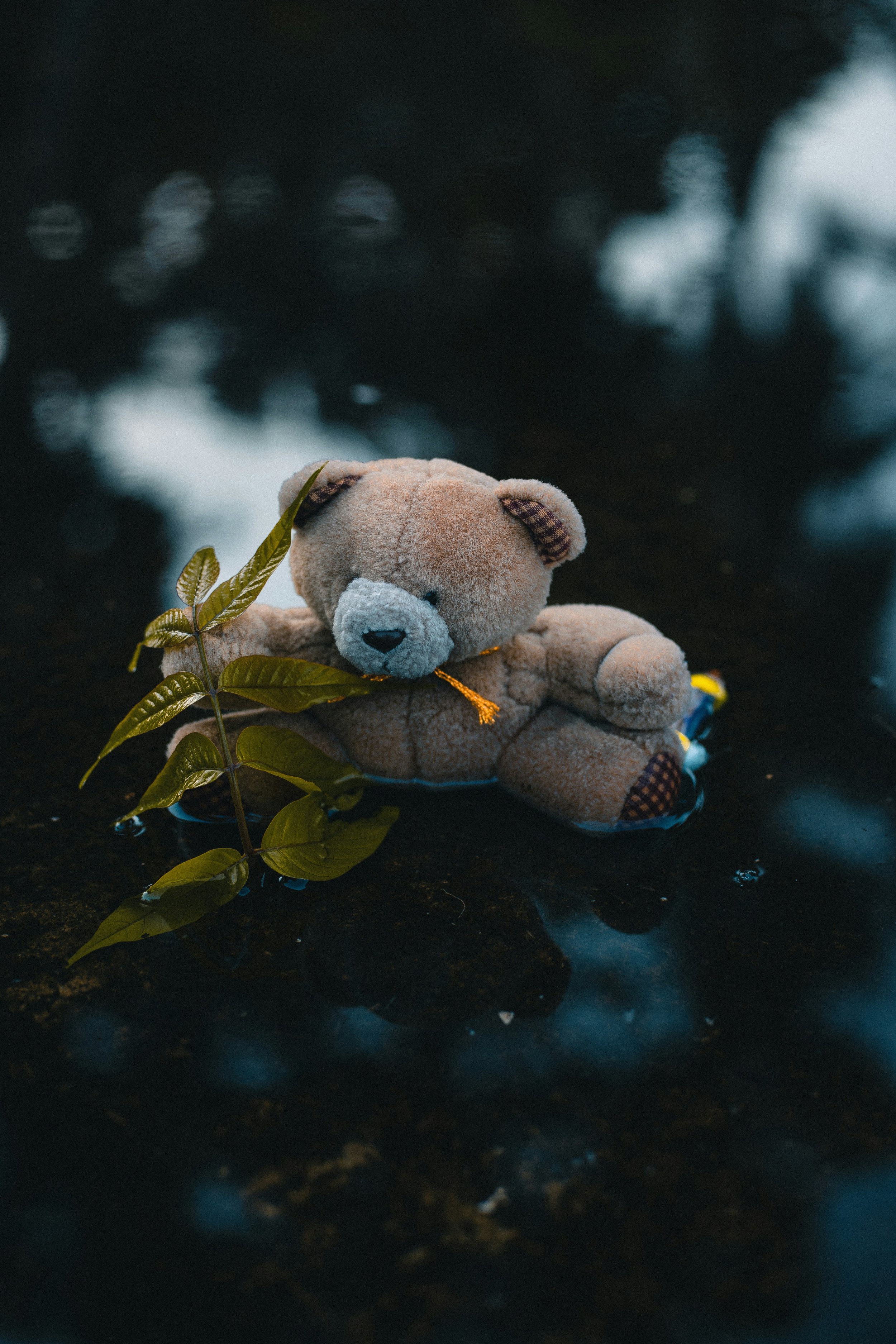 4 Tasks of Grief: Strategies for Coping with Grief and Loss 