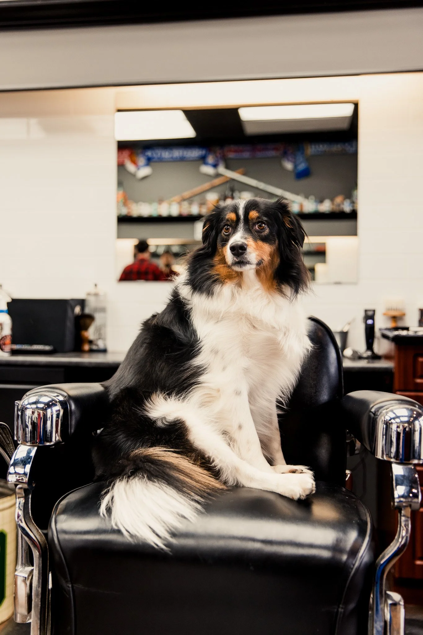 vancouver branding 2.jpg