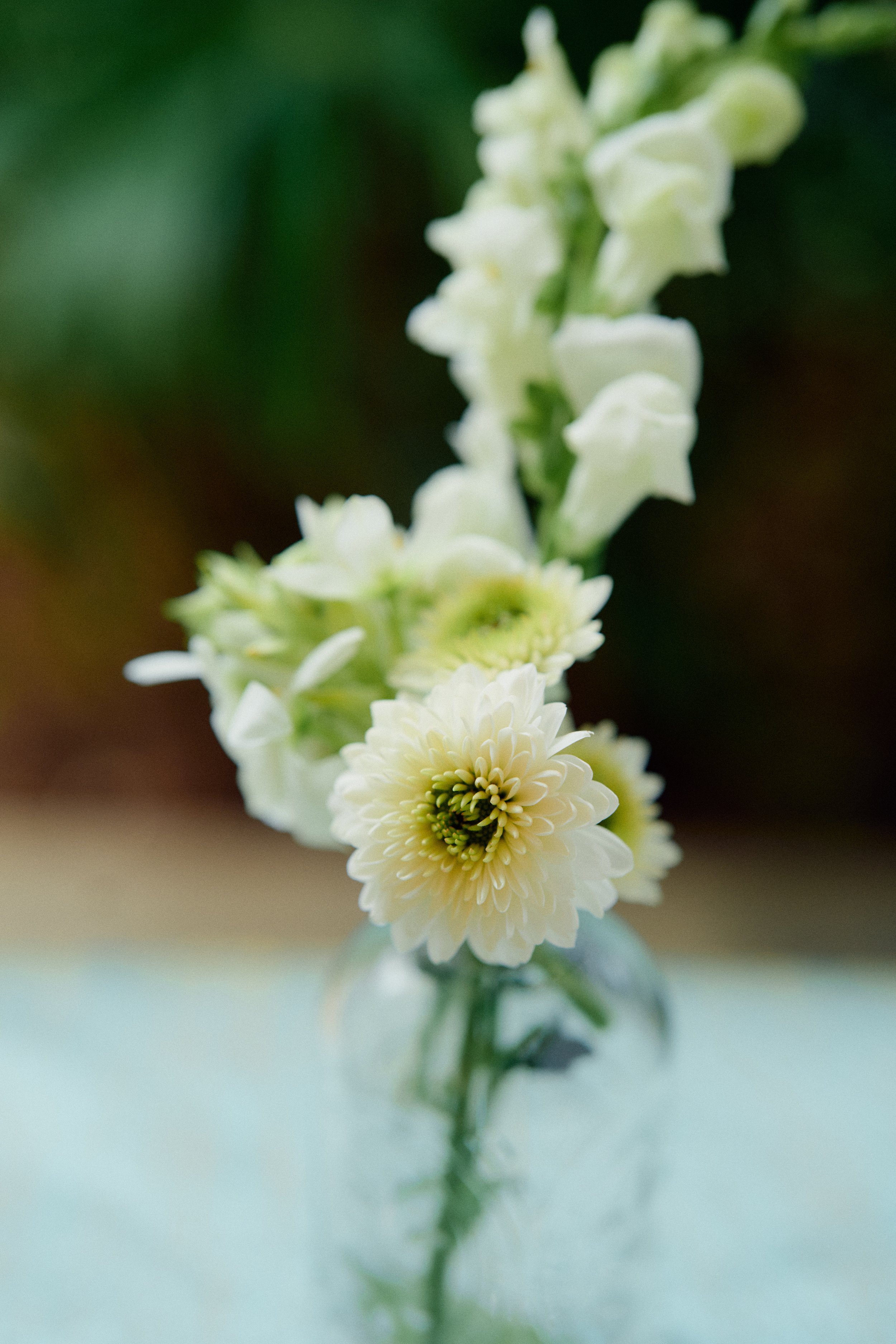 Boda Alexa&Alejandro 2.jpg