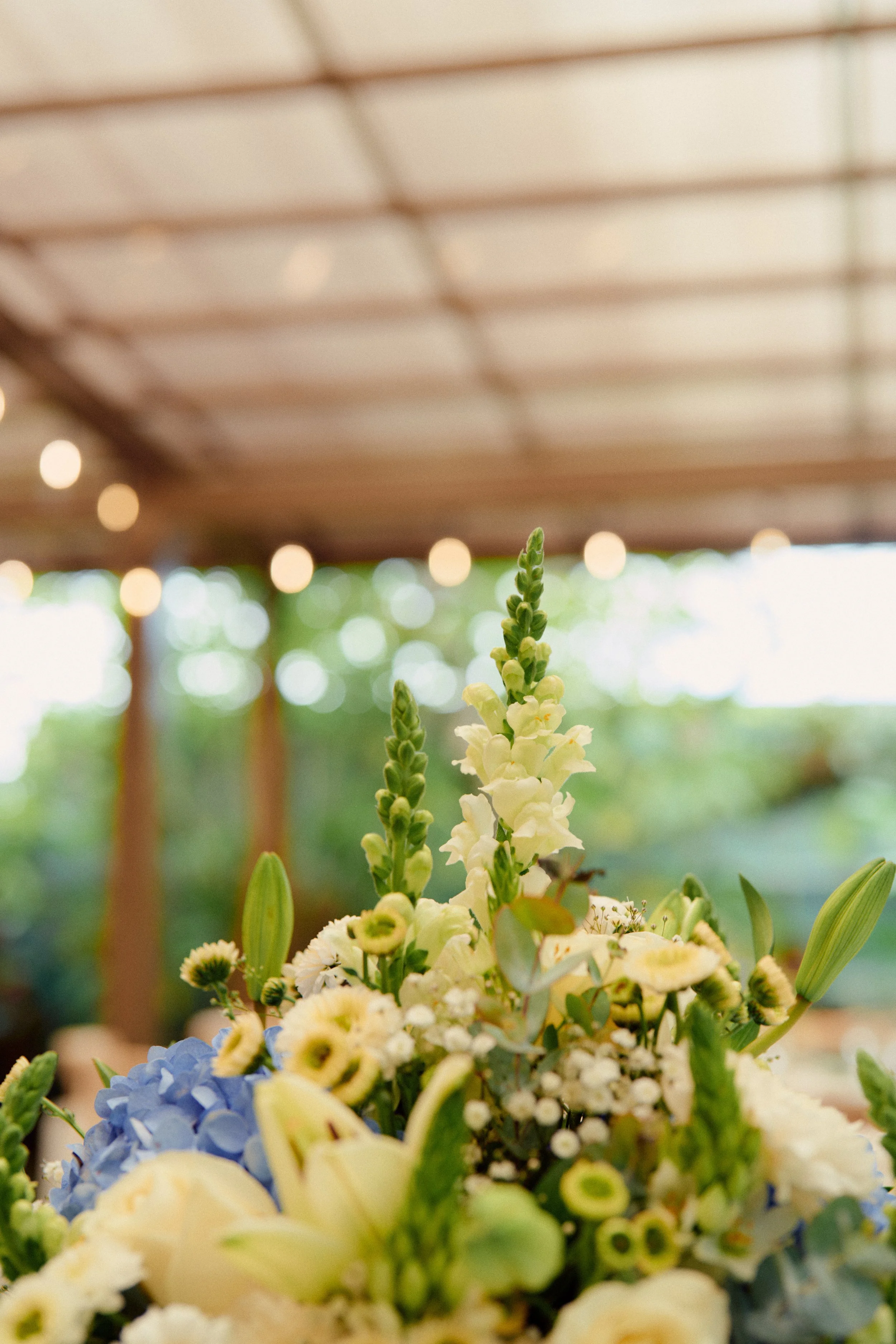 Boda Alexa&Alejandro 3.jpg