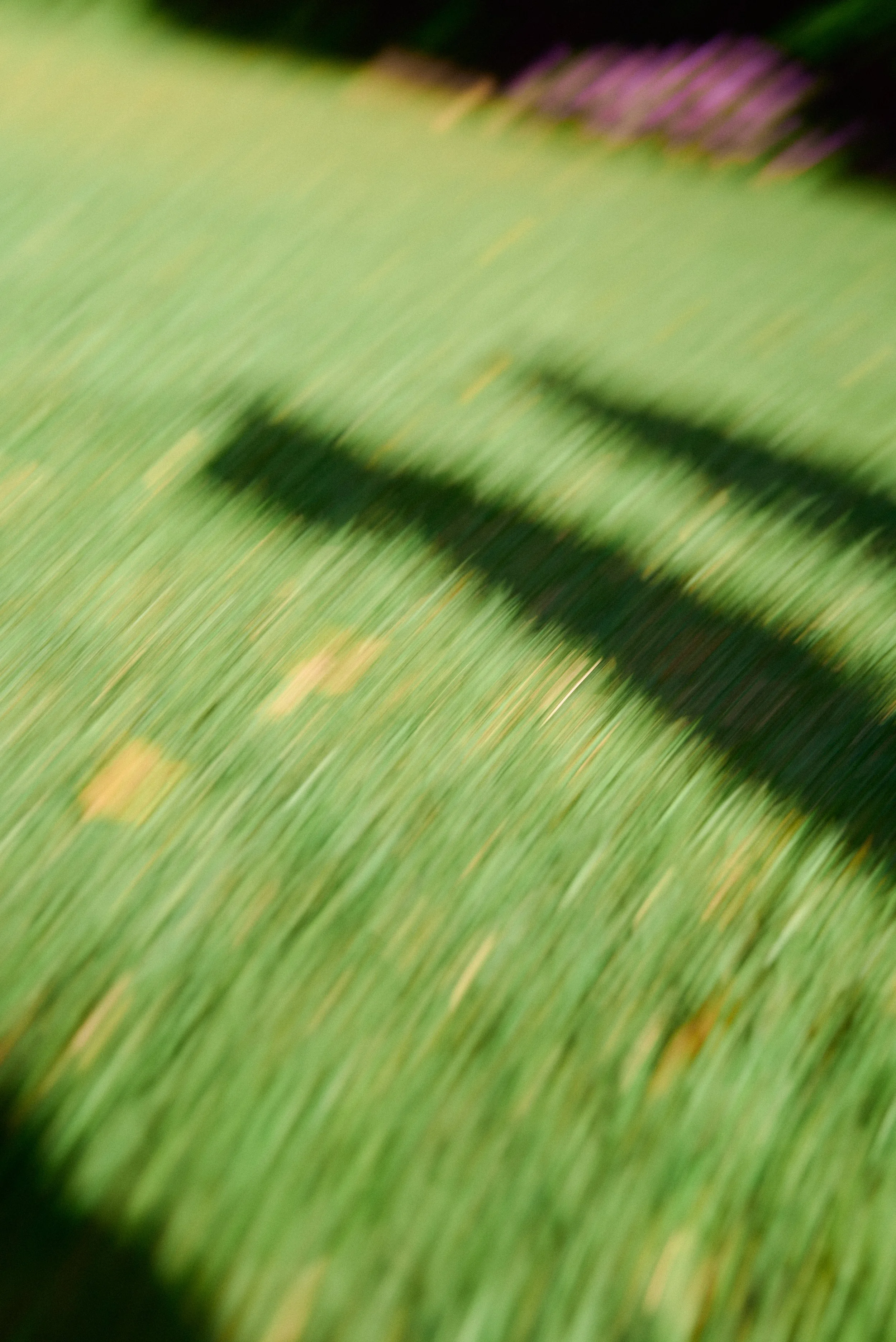 Marcela sesión de compromiso 73.jpg