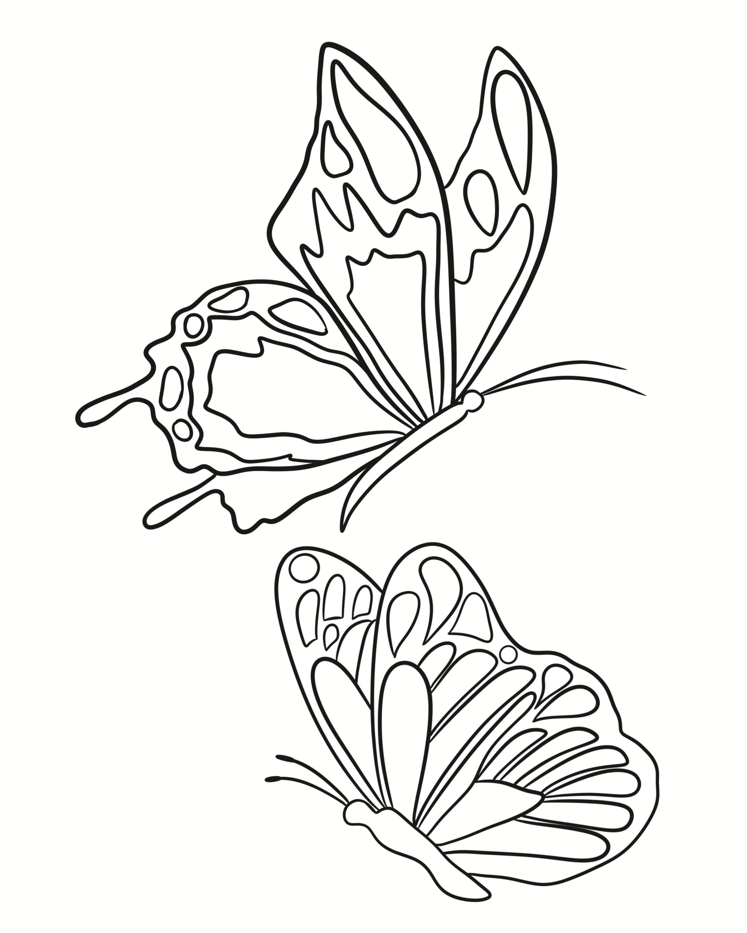 The one with the butterflies II