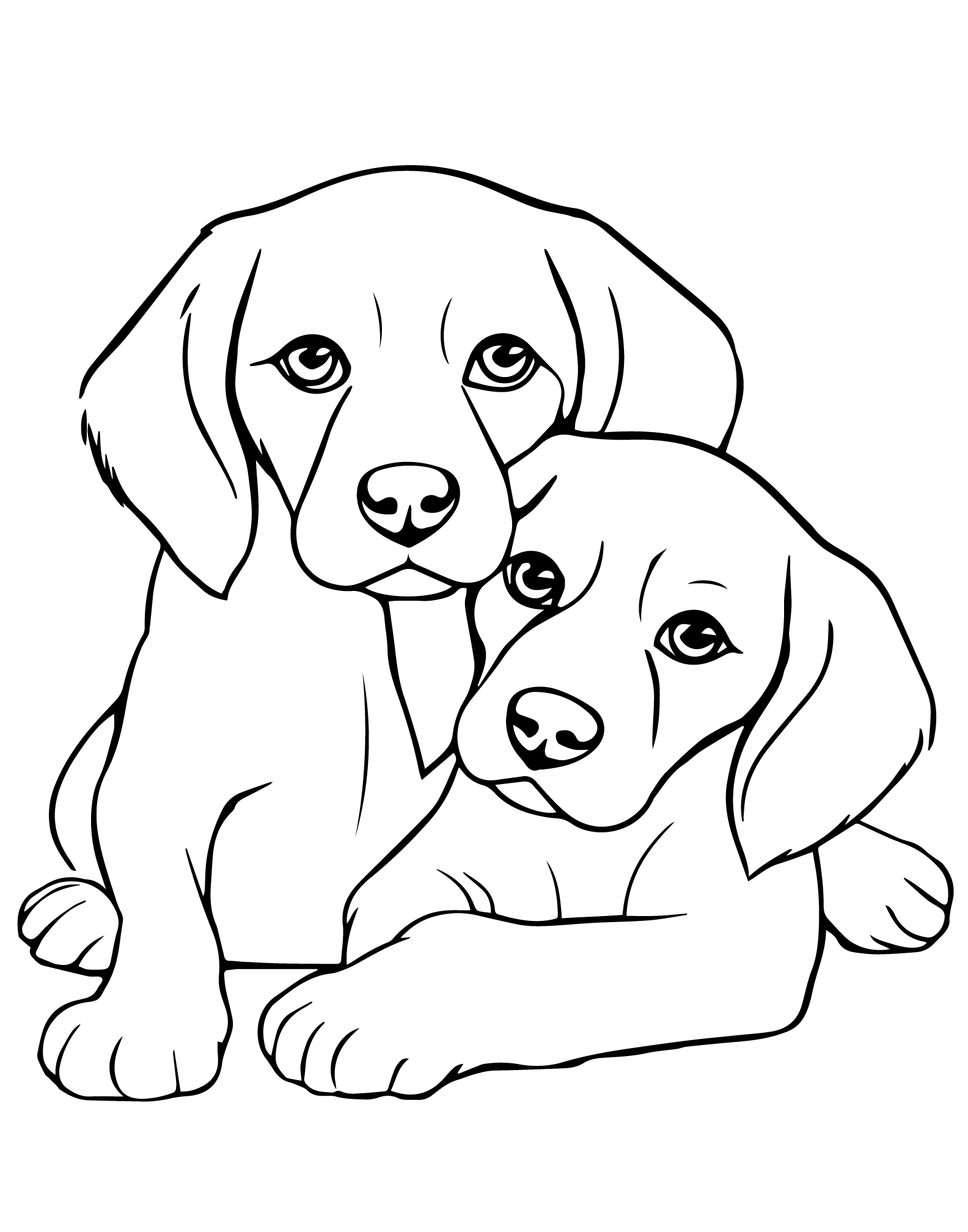 The one with the Puppies