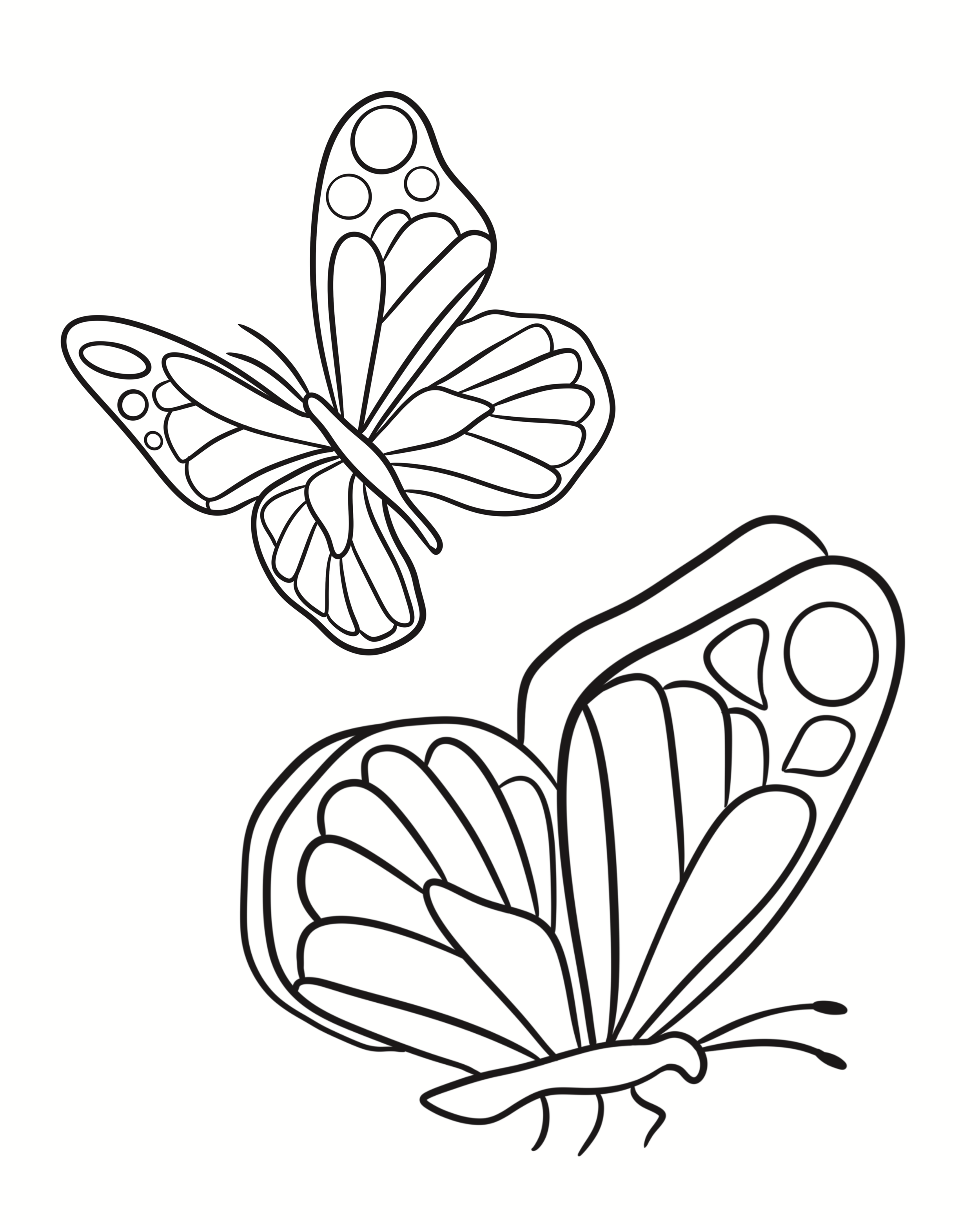 The one with the butterflies