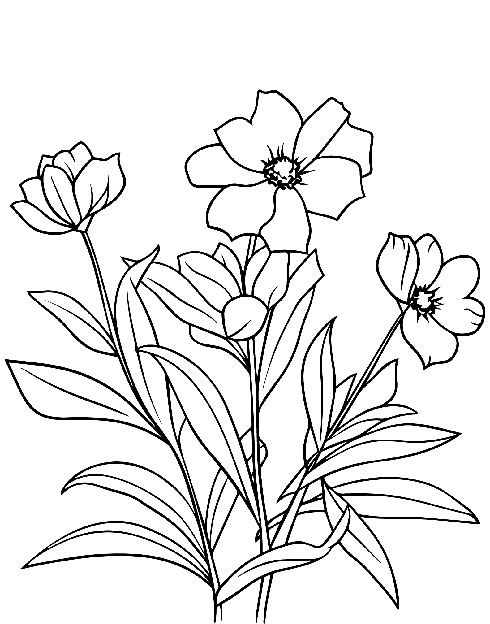 The one with the Flower II