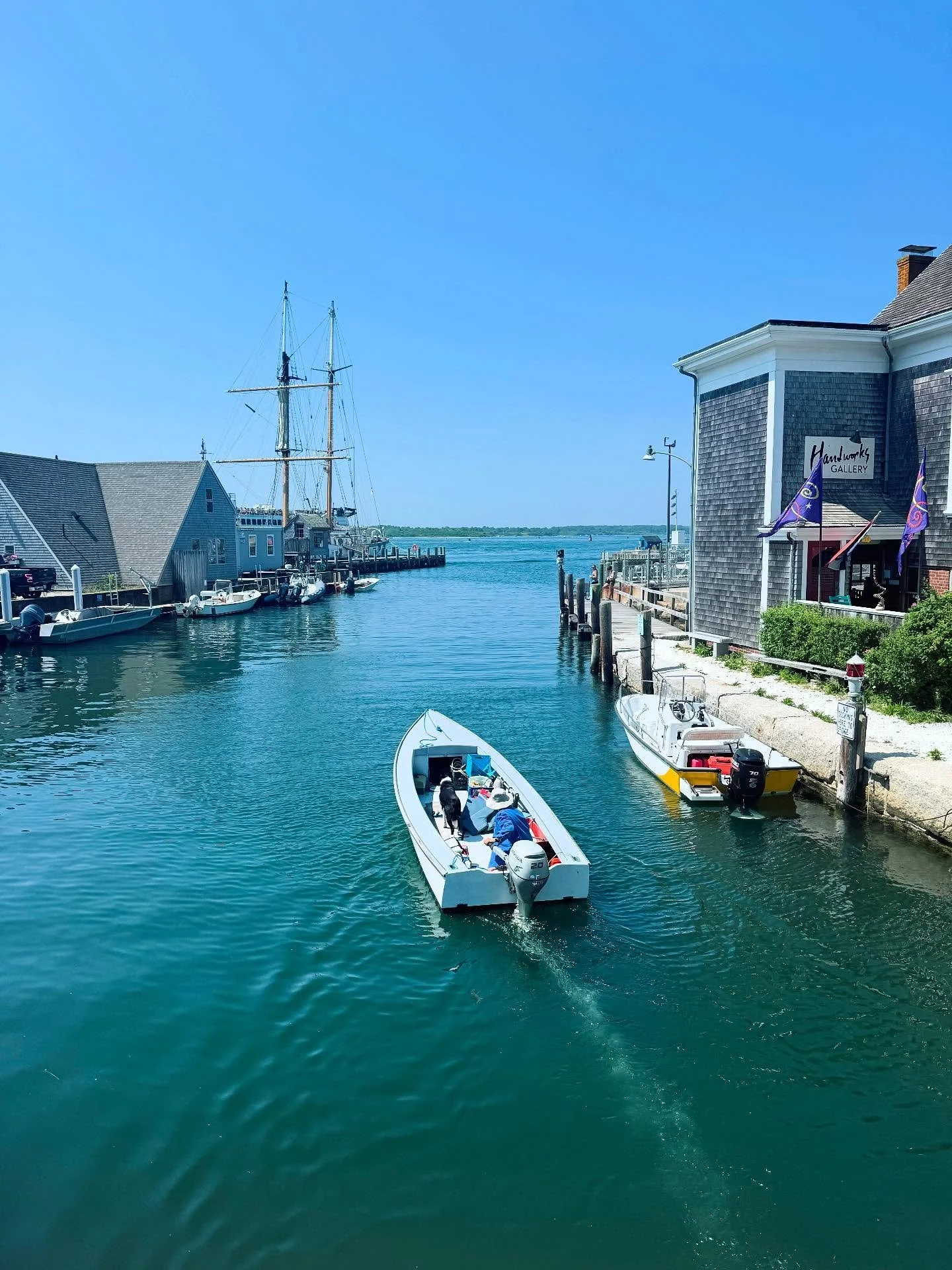 Don't miss the boat! The second Who Could Love Them newsletter goes out this weekend. If you aren't subscribed to updates on our website do so before Friday! The first update went out in April so there is much to discuss. 📰💌

Photo taken last week 