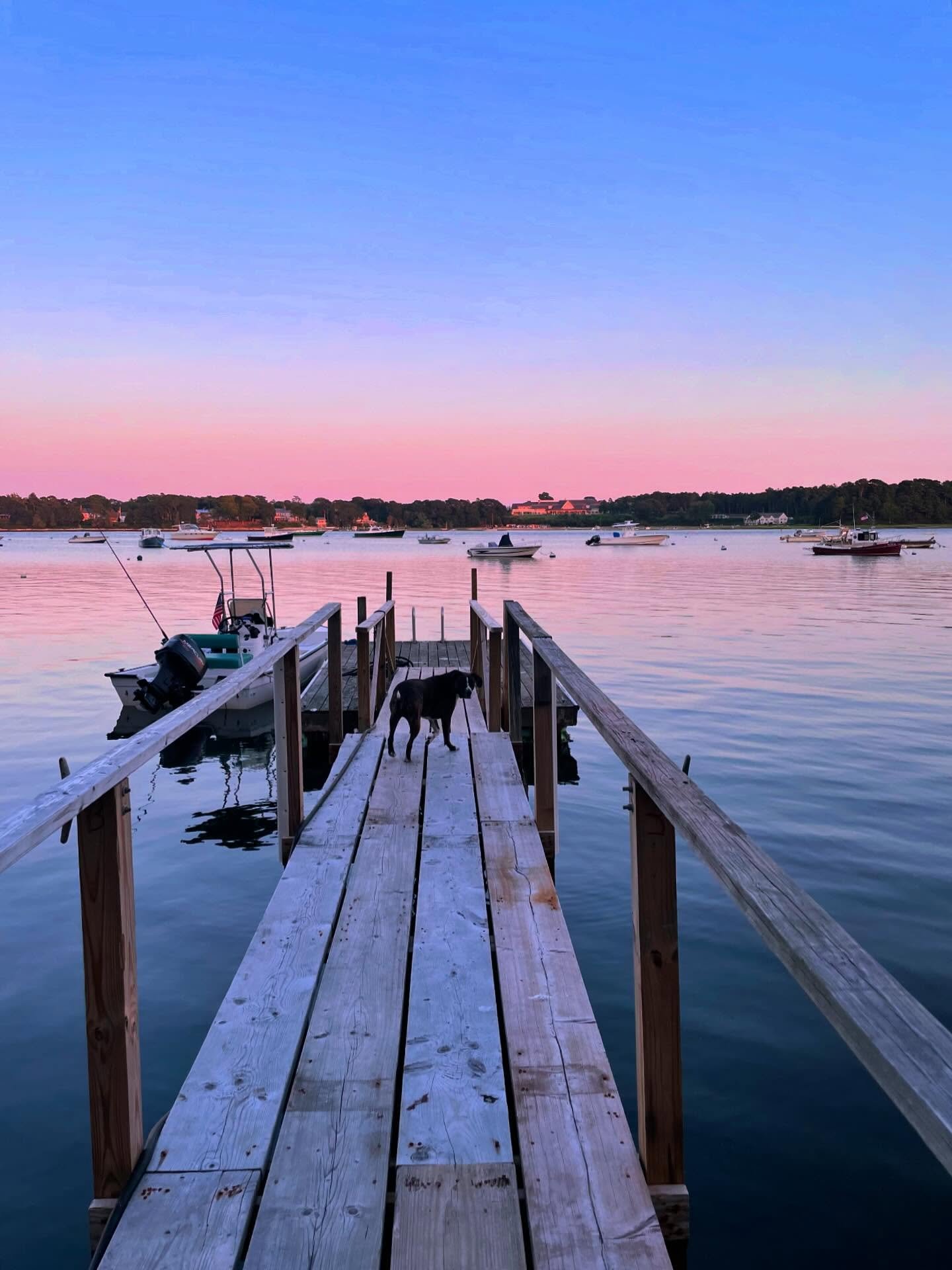 Wishing all the summer folks a warm goodbye and the locals joy in this very special small slice of the year: When the water's warm, the traffic's gone, seasonal businesses are still open without crowds and doggies are allowed back on the beach 🐾🐚 H