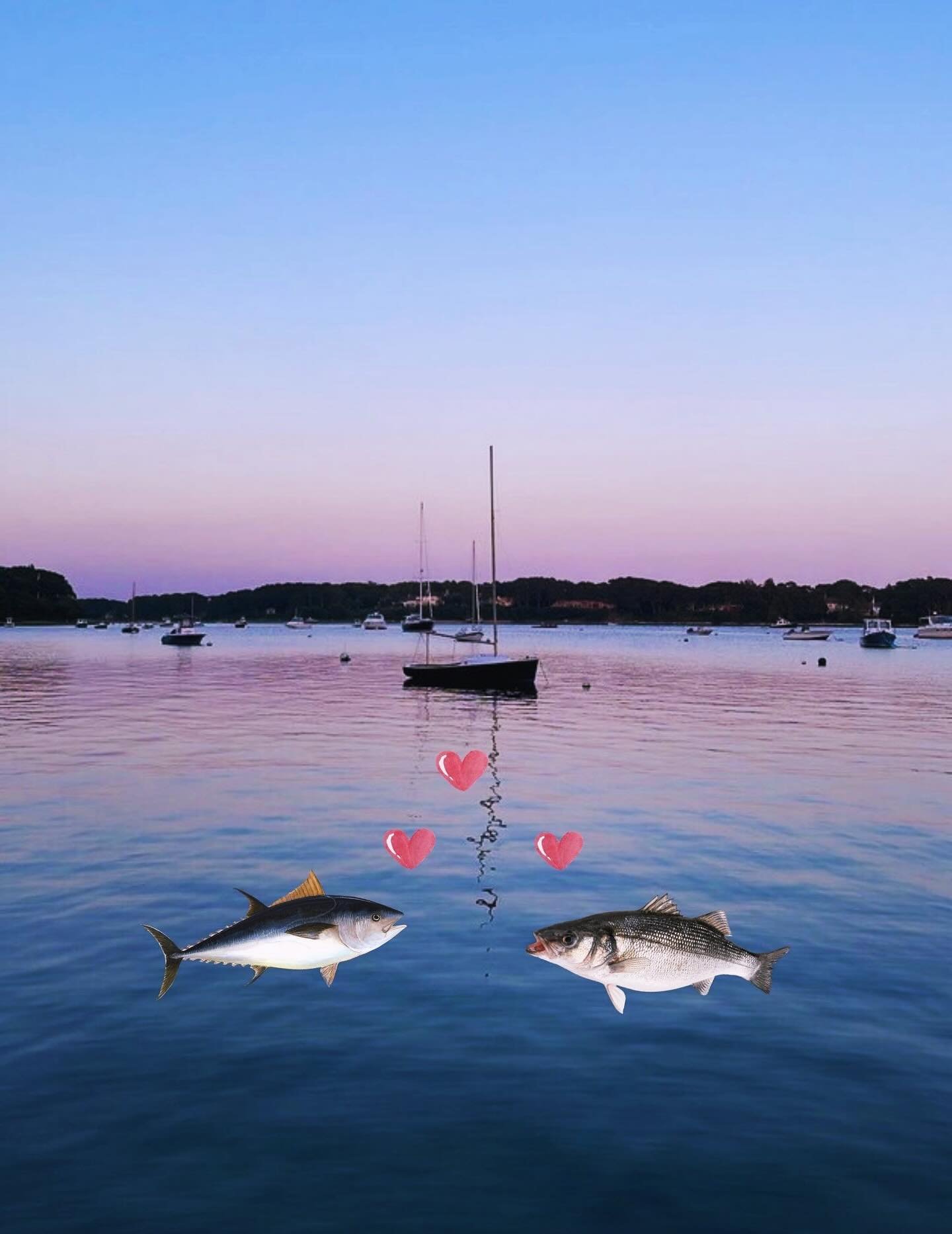 Our super fun event is six days away! Make sure to get your tickets at the link in bio and bring your friends. :) There will be bingo, prizes, art, food, drinks and much more! Come on down to @naukabout_brewery on 9/20 at 5:30pm. ✨

Thanks to all of 