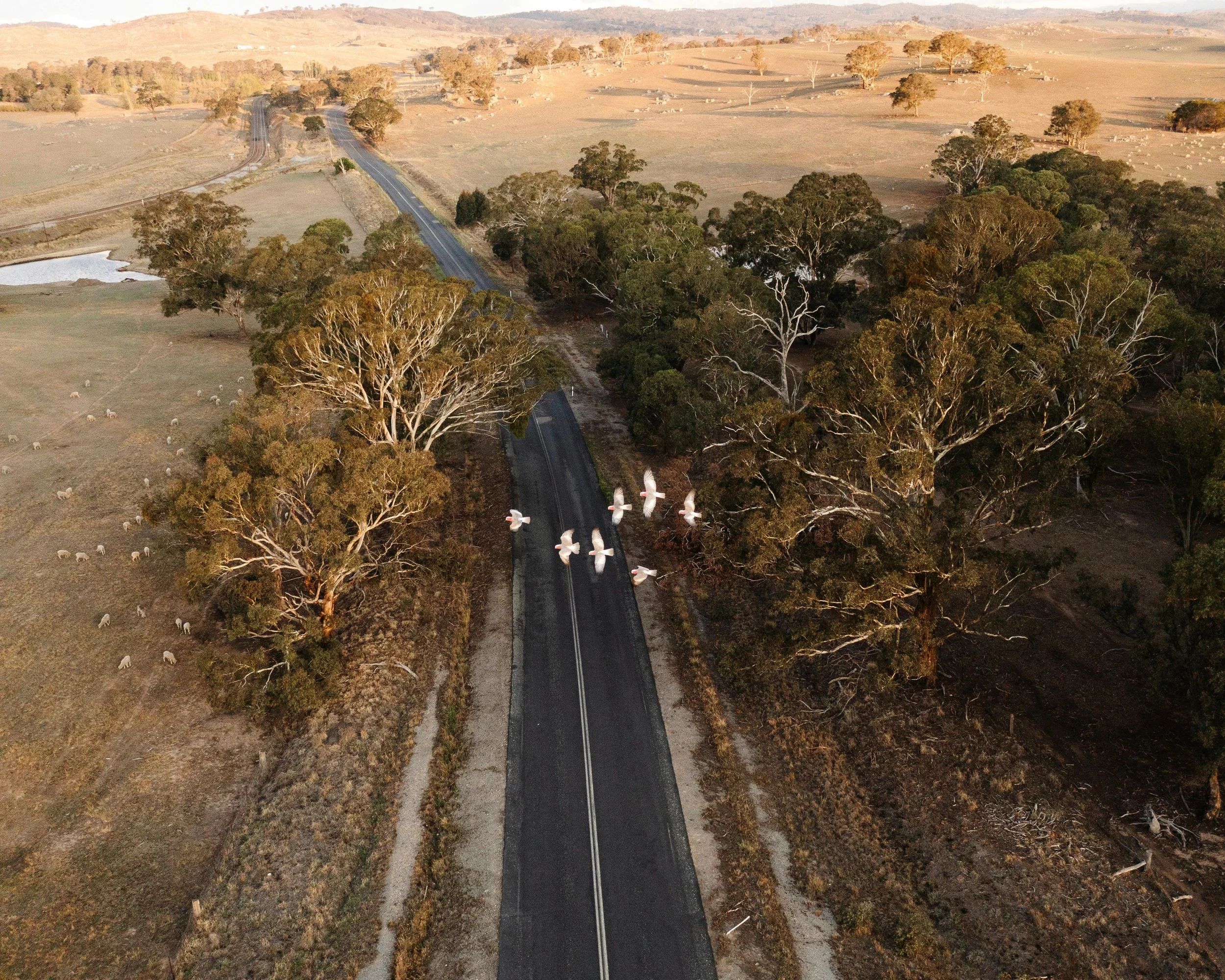 Fuel subsidy doubled for country South Australians travelling for healthcare