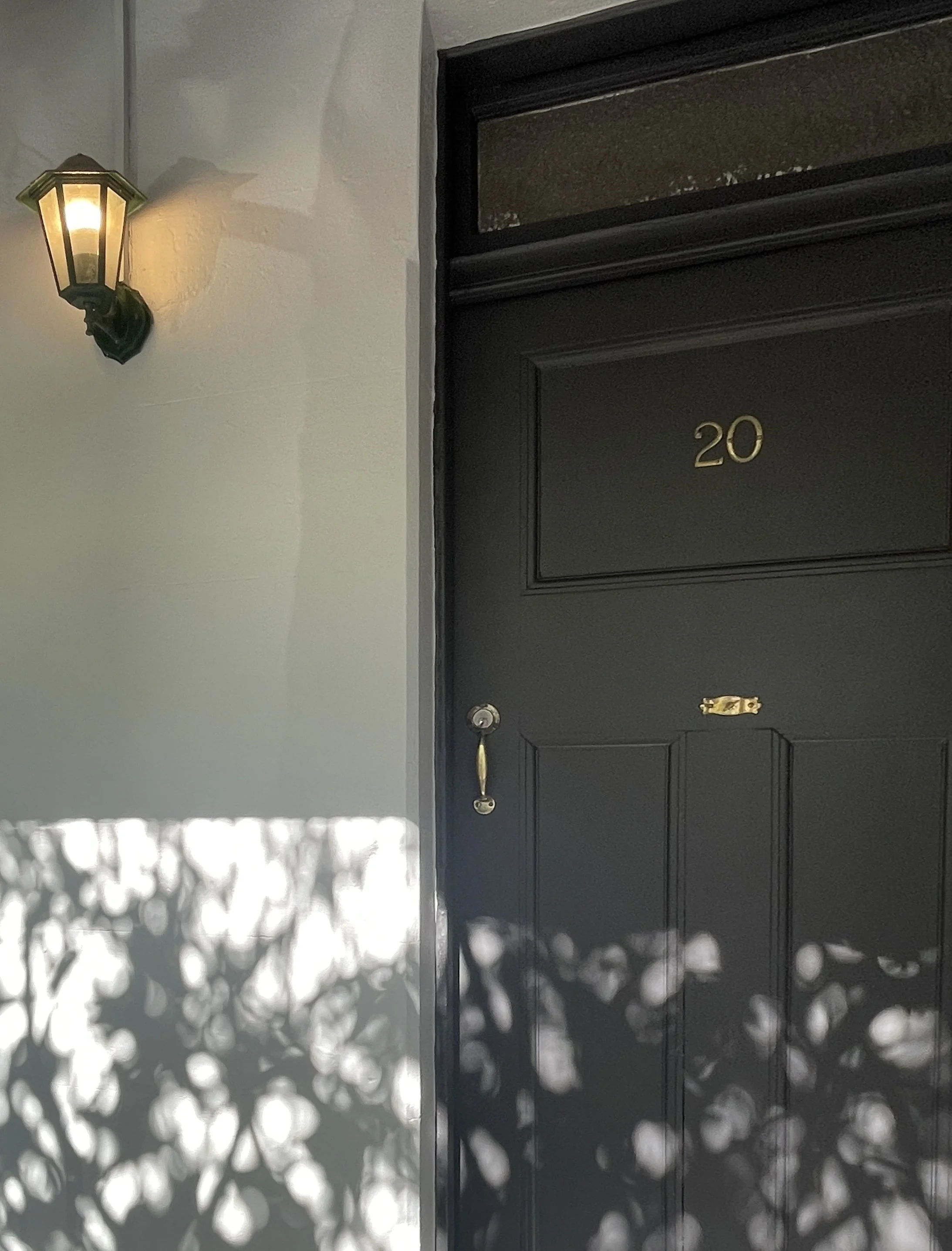 Exterior painting in Sydney Rozelle. Timeless exterior colour with Dulux Silkwort and monument
