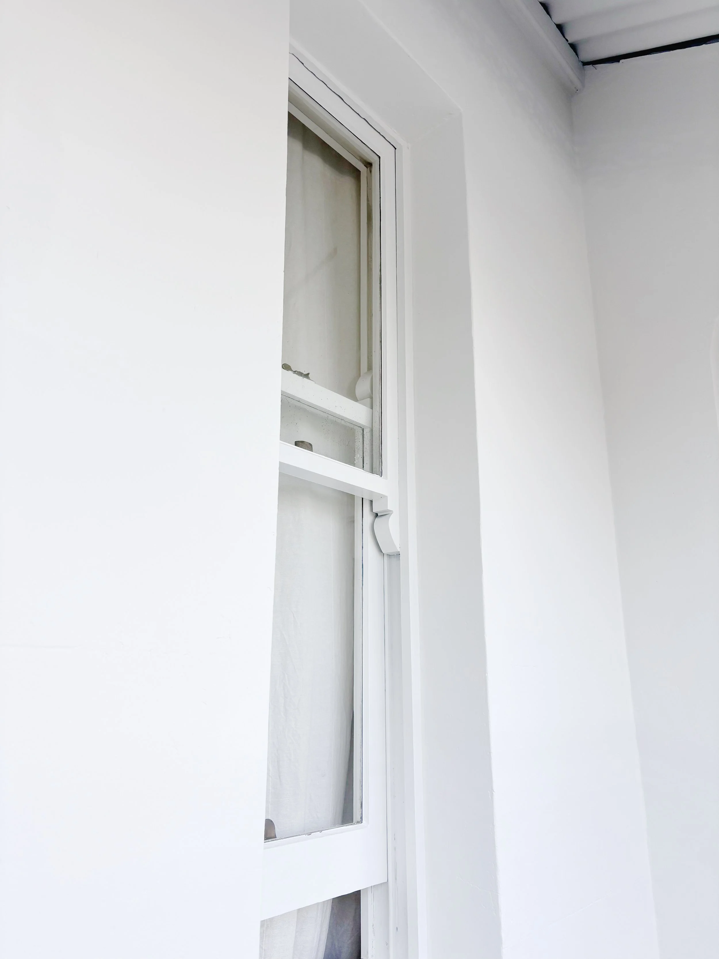 feel-look-paint-painter-in-sydney-Paddington-exterior-painting 2.JPG