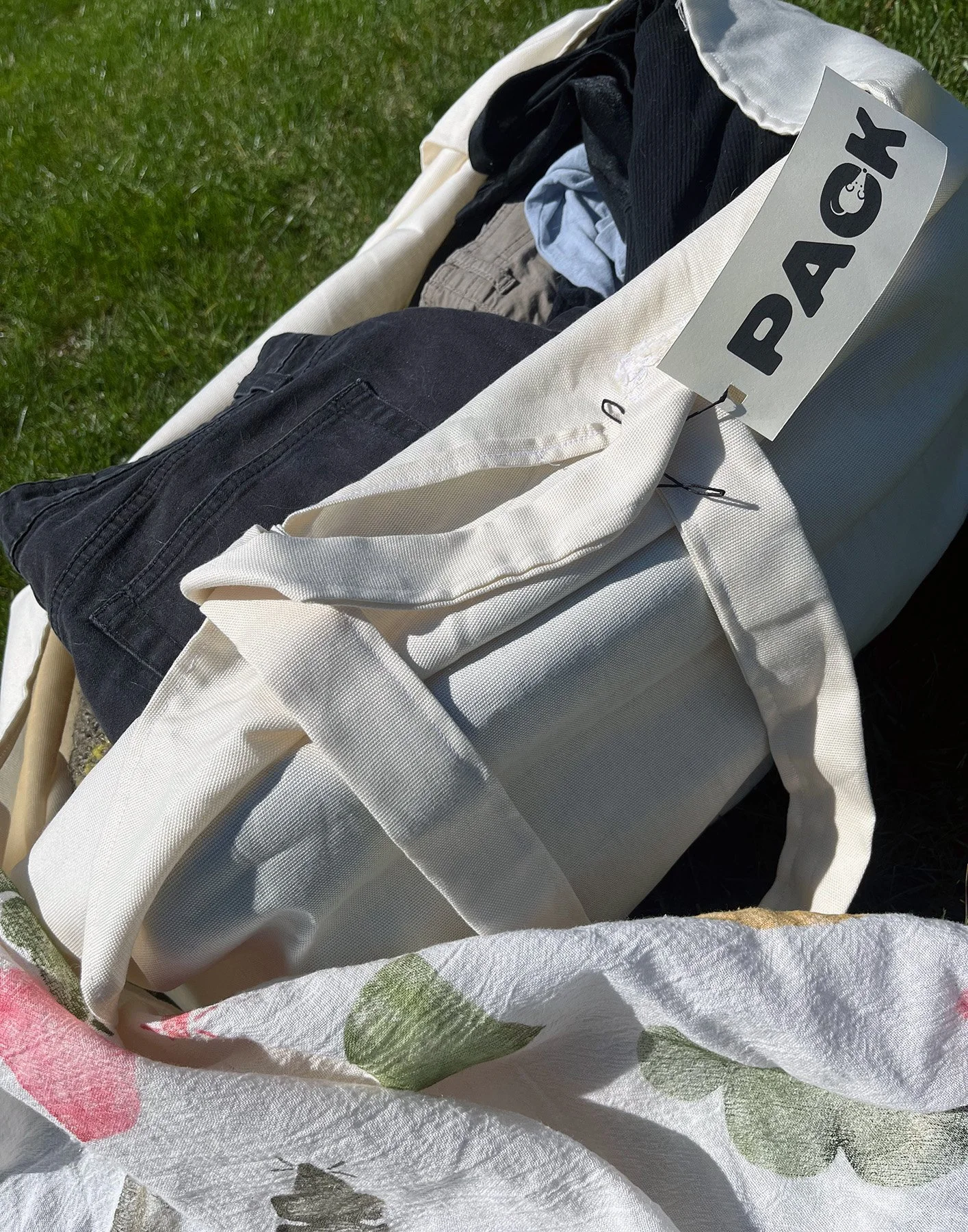 PACK bag on grass big.jpg