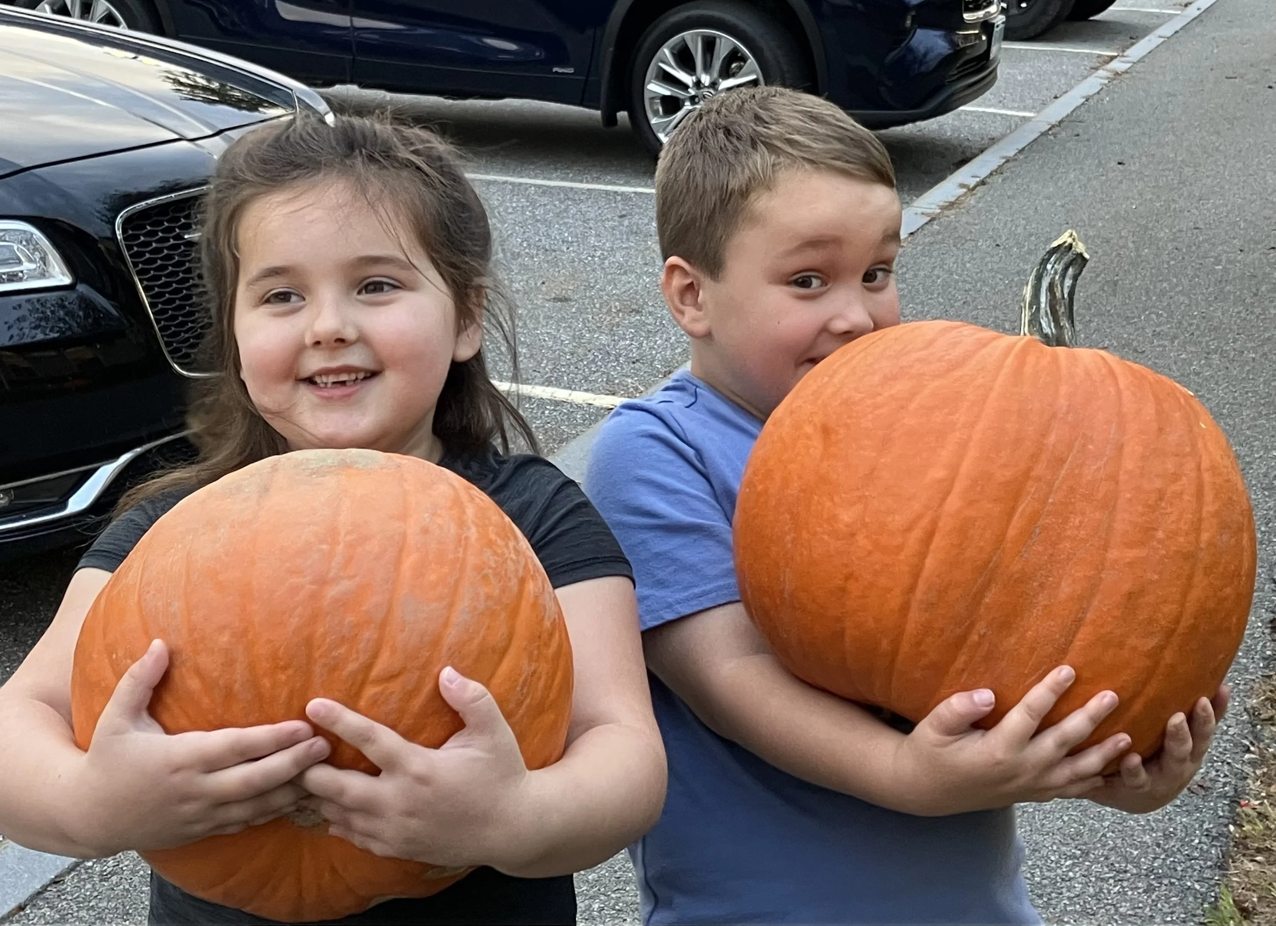 picking up pumpkins to decorate
