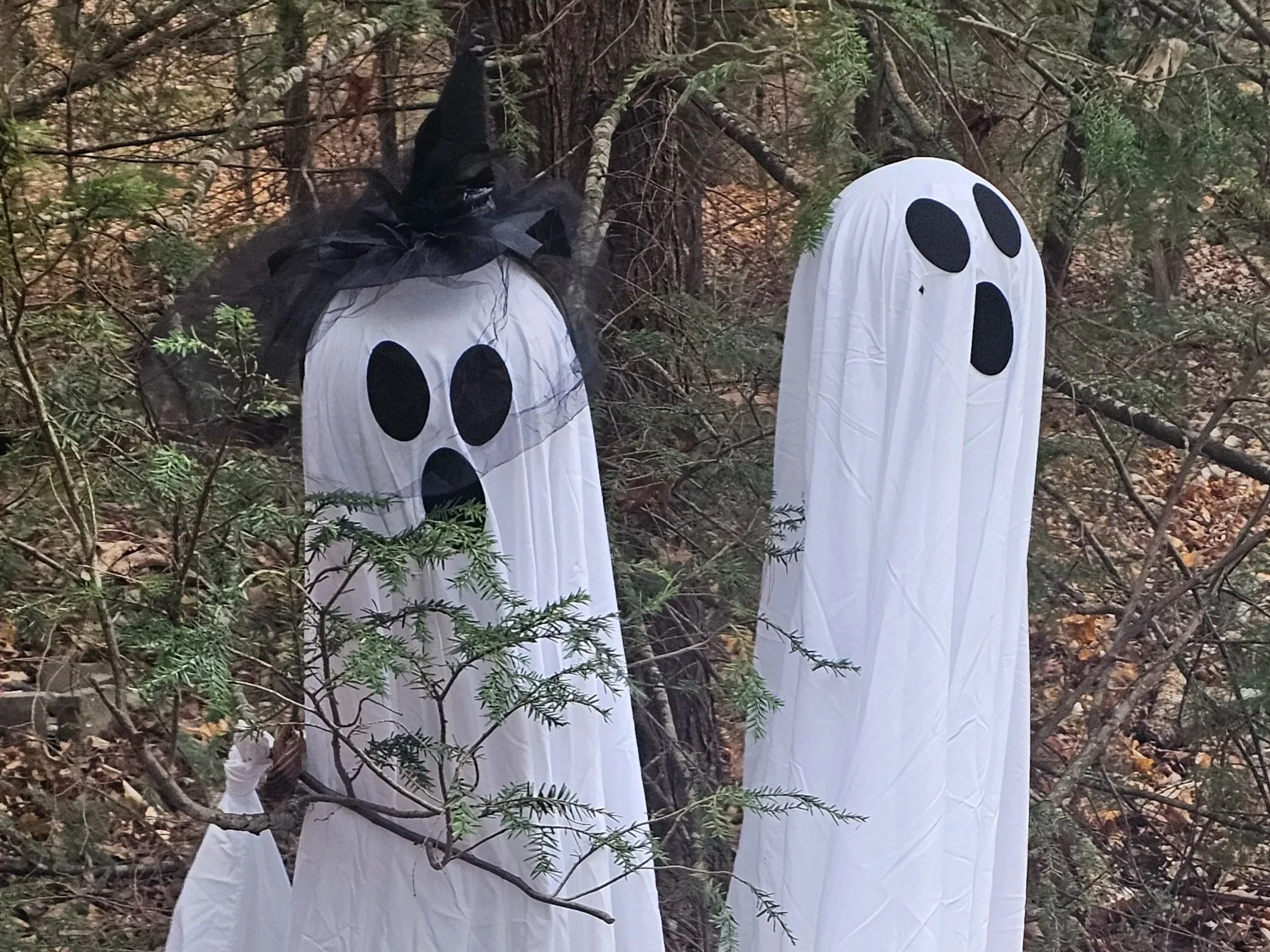 there are ghosts in these woods!