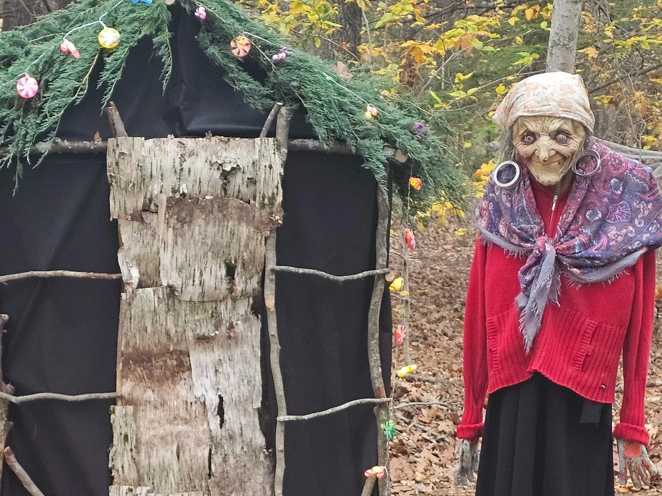 spooky witch with her hidden house in the woods
