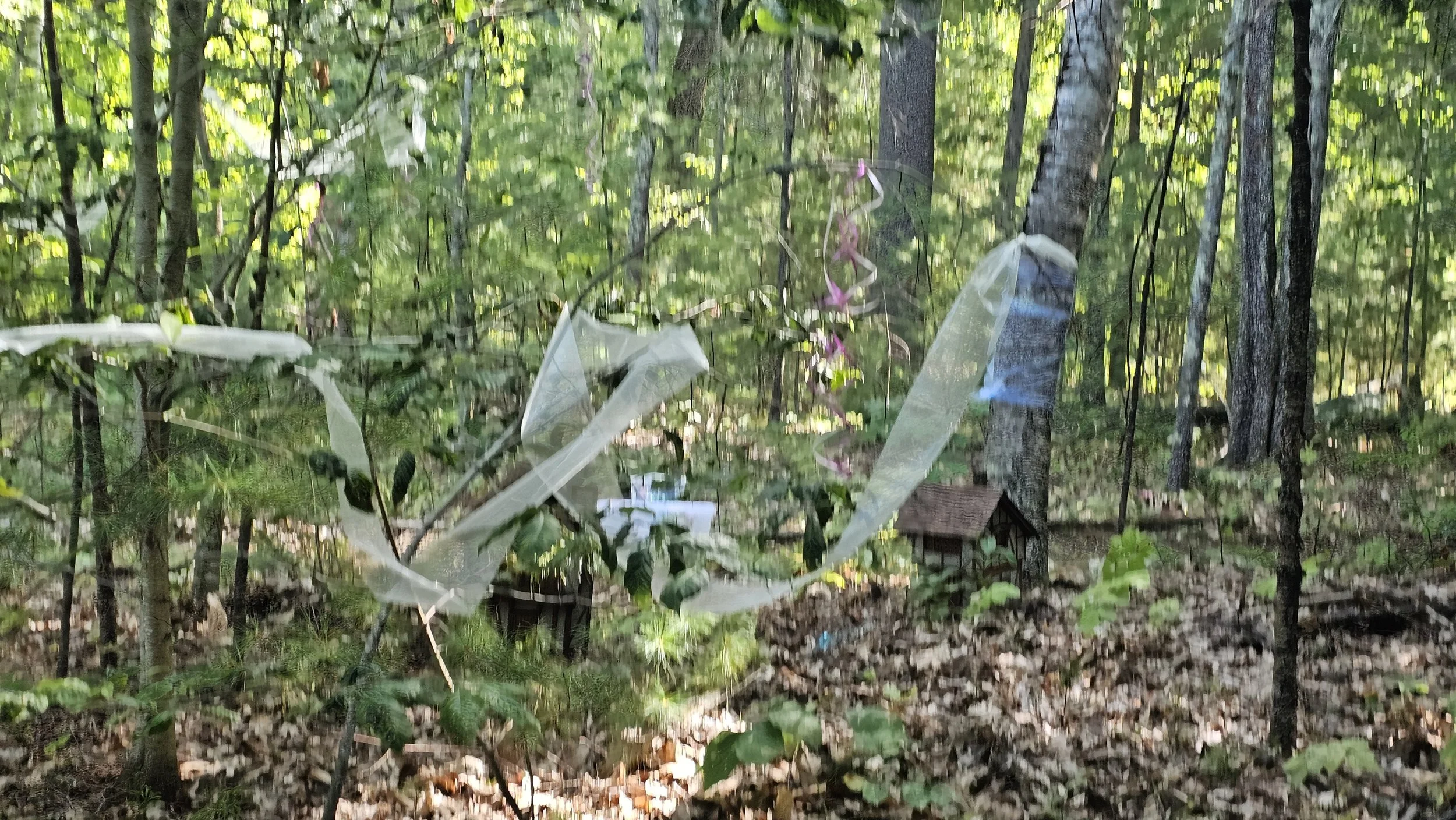 20250808_145619.jpg