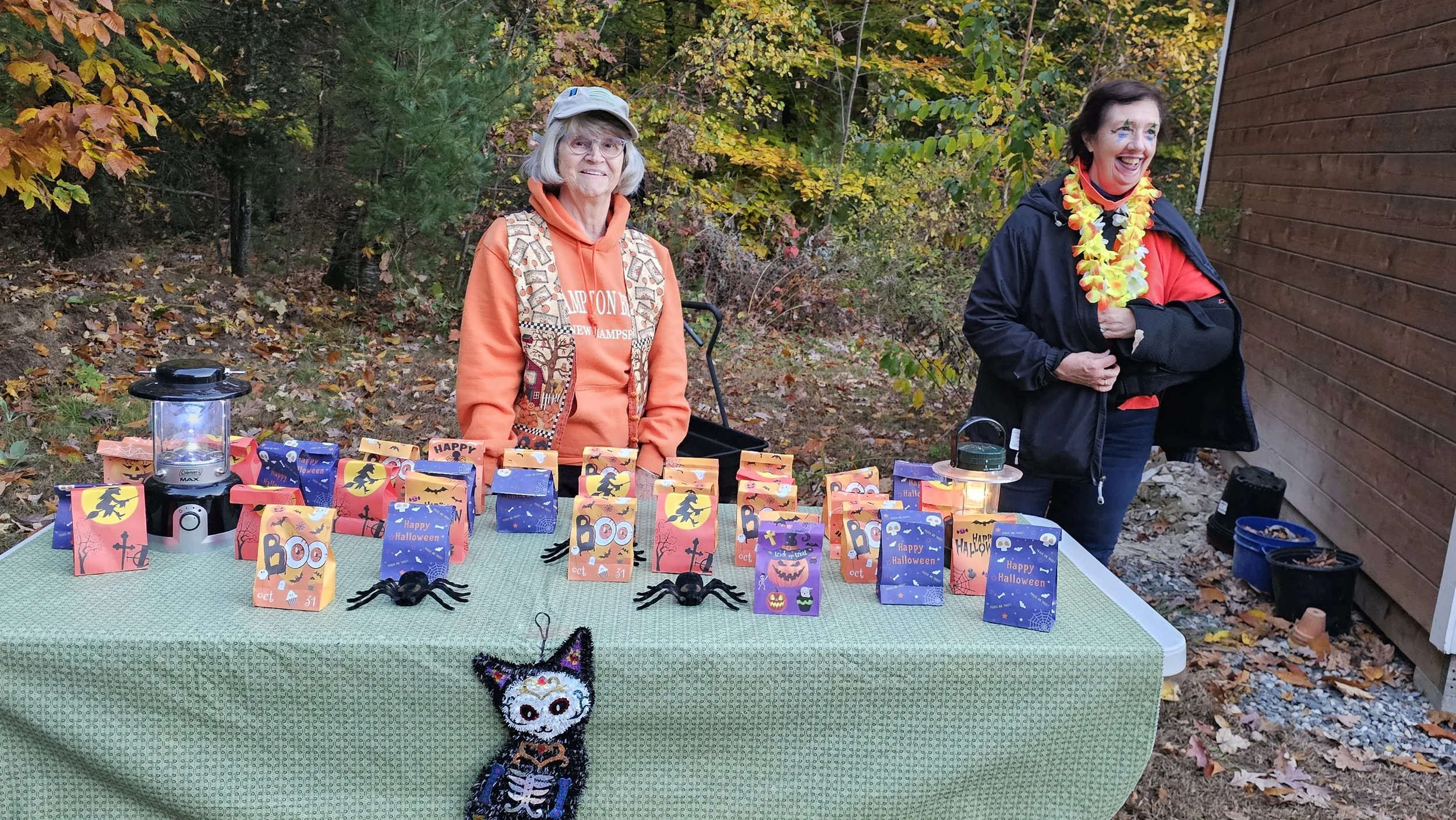 Friends man the treat table