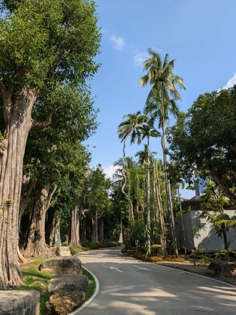 caminos-parque-changthong-769x1024.jpg